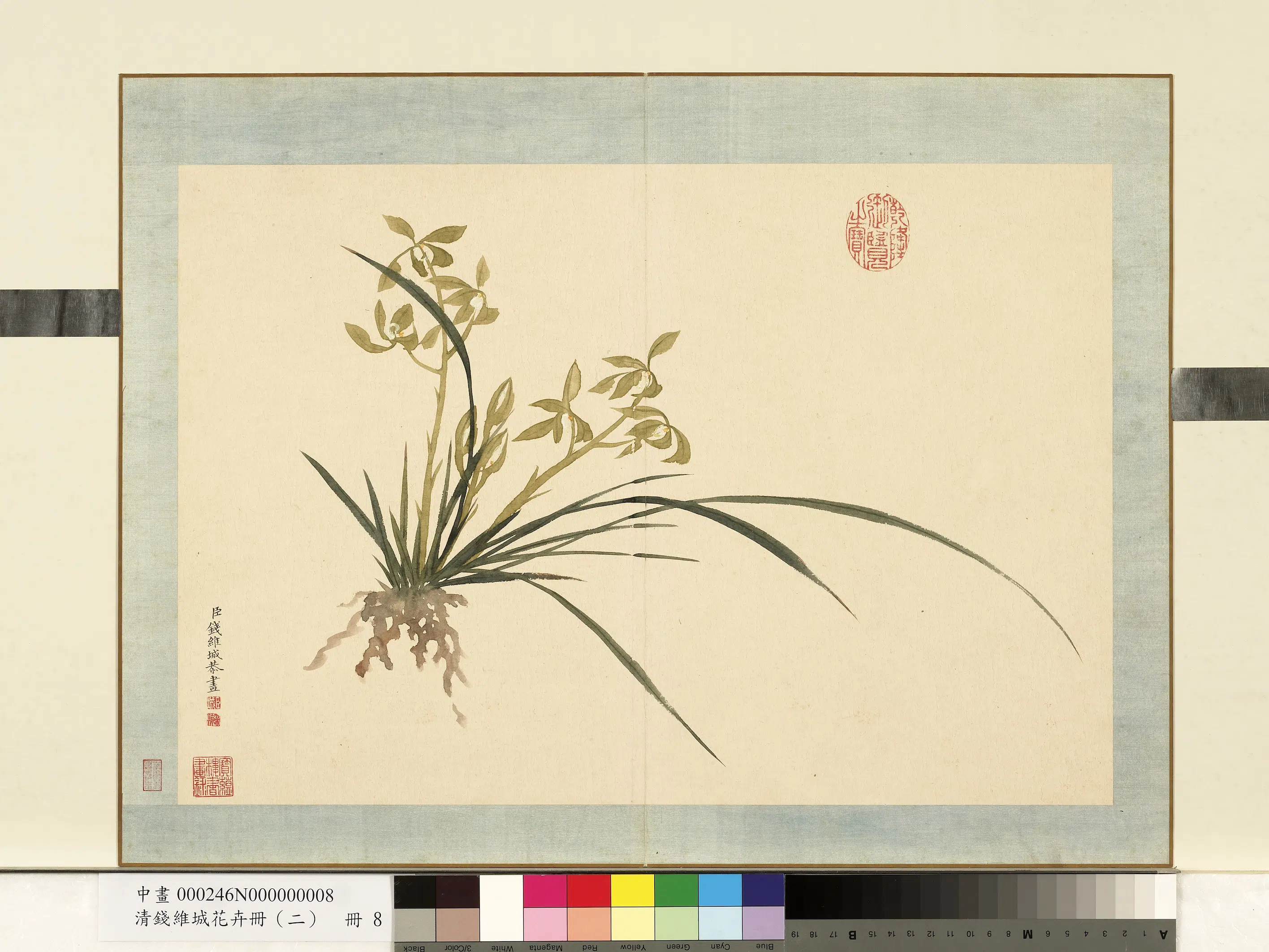 清代【钱维城】《花卉册（二）册》 第7张