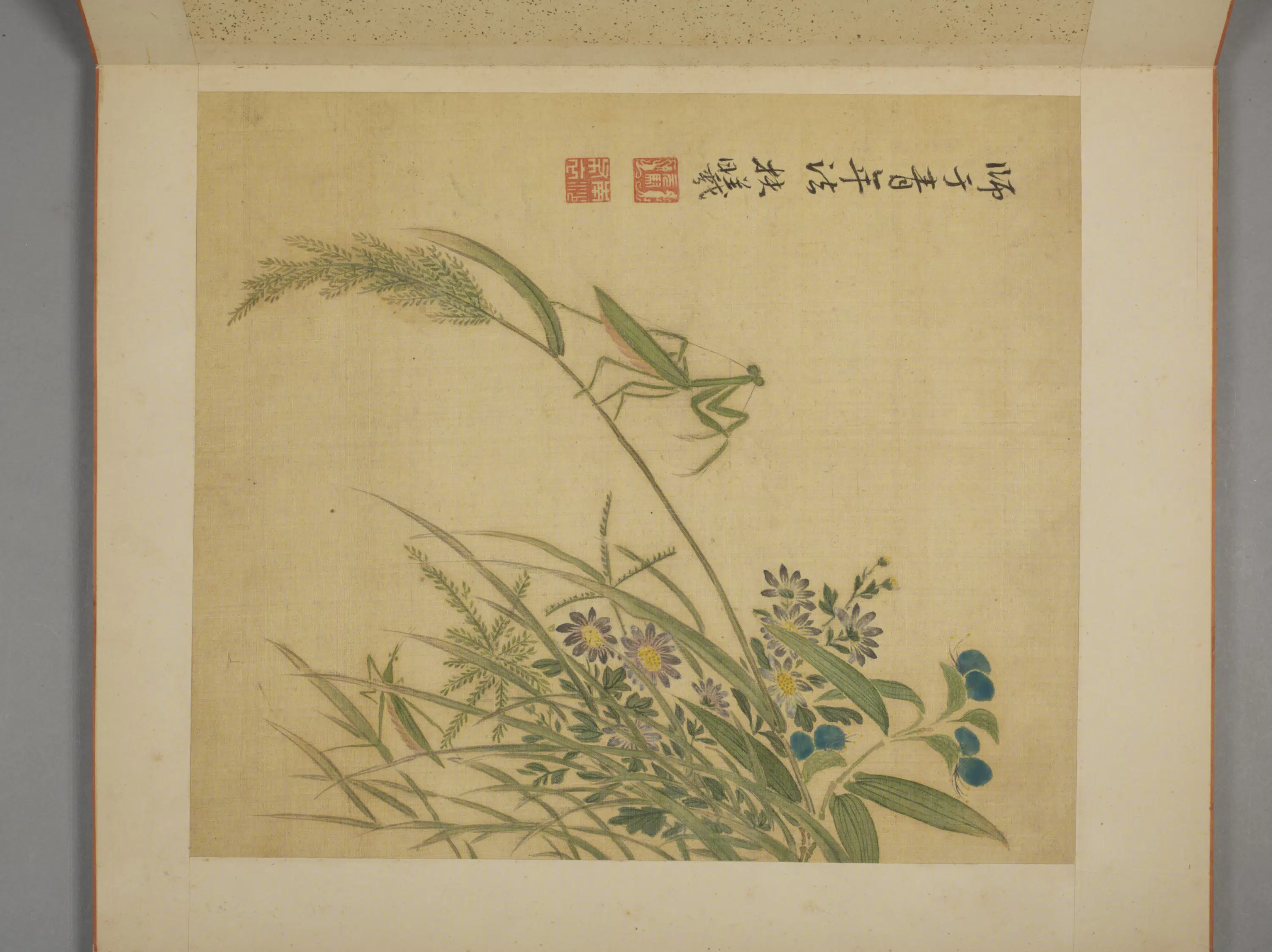 清代【马元驭】《花卉册》 第2张