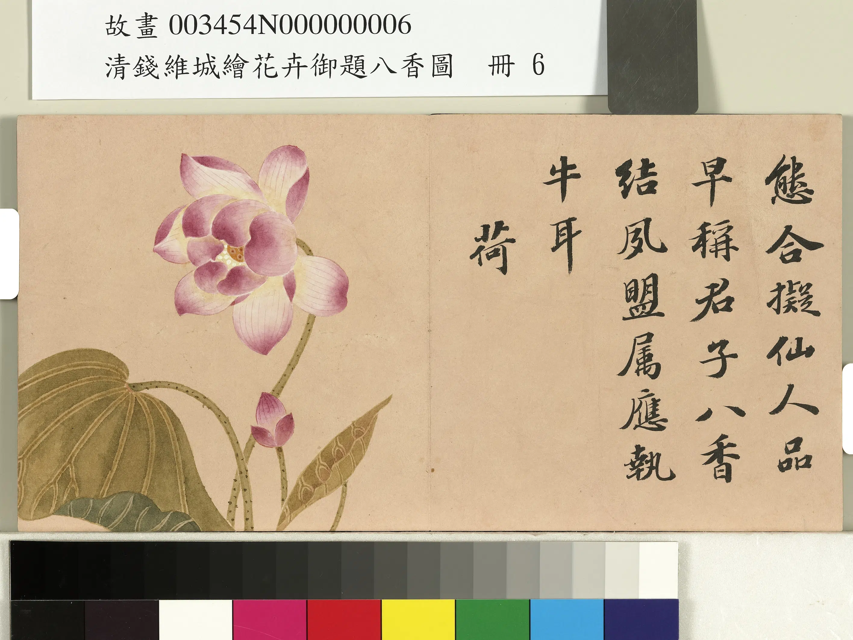 清代【钱维城】《绘花卉御题八香图册-荷花》