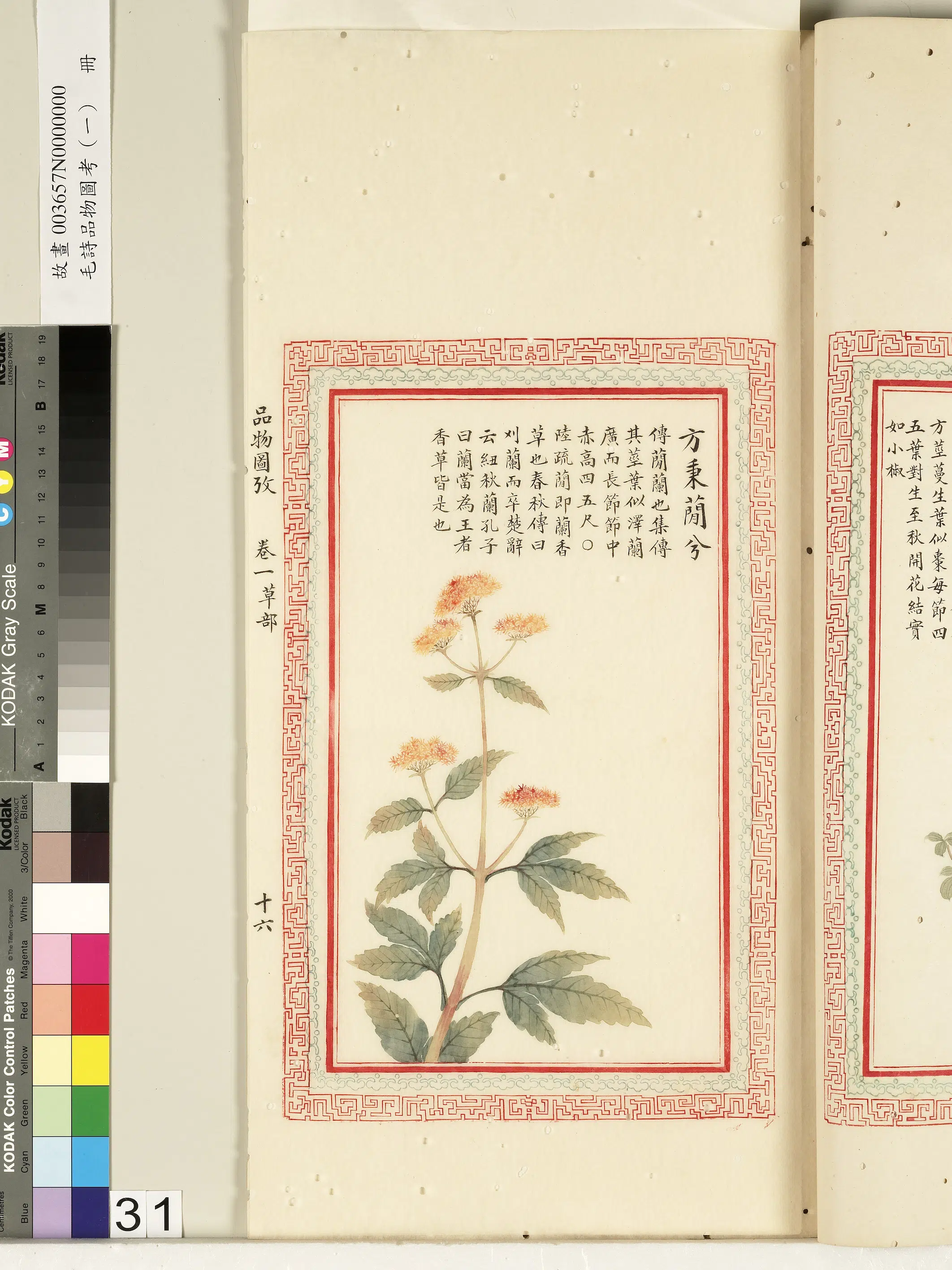 清朝《毛诗品物图考（一）册-2》 第29张