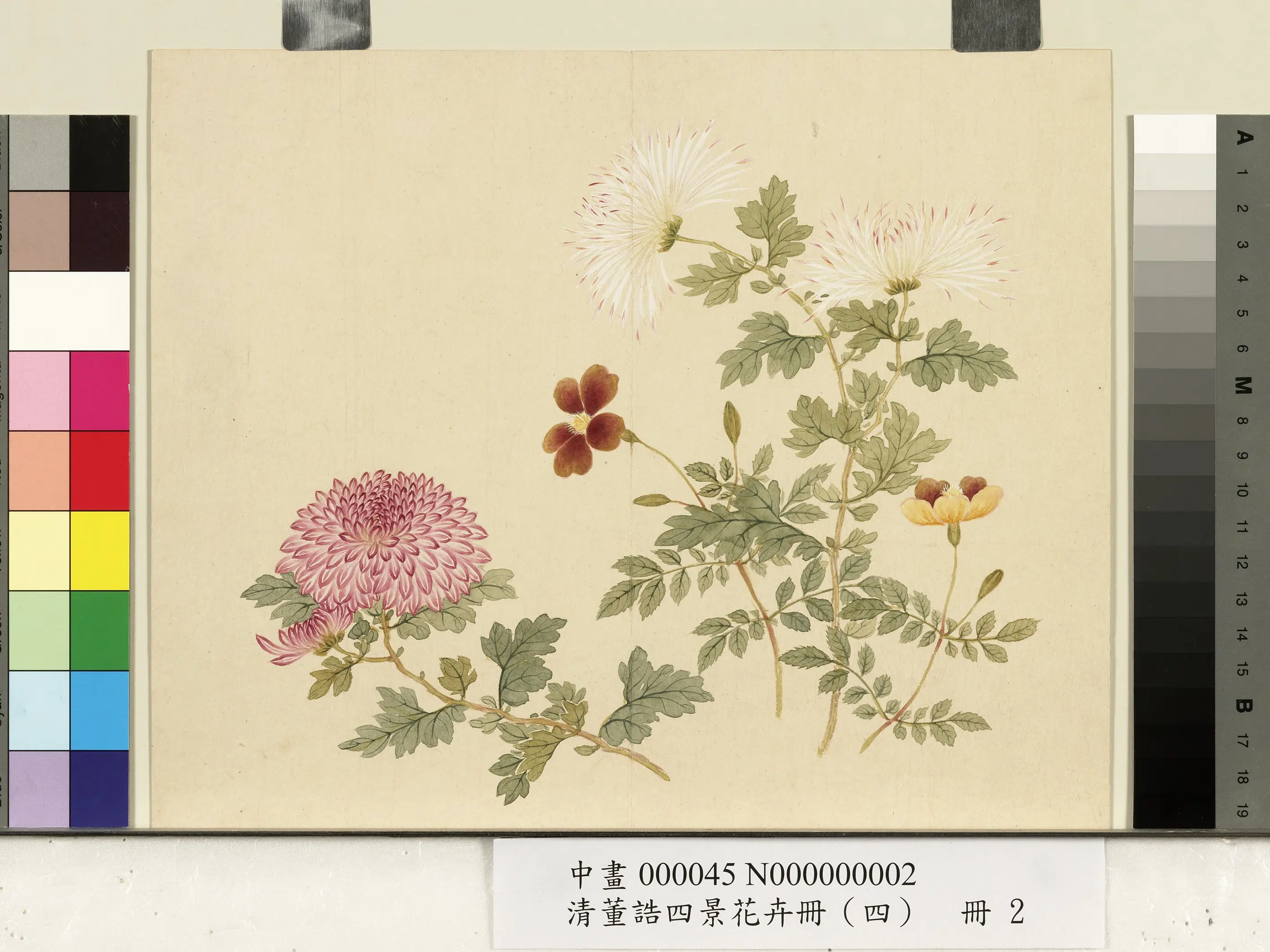 清代【董诰】《四景花卉（四）册-冬景花卉之二》 第1张