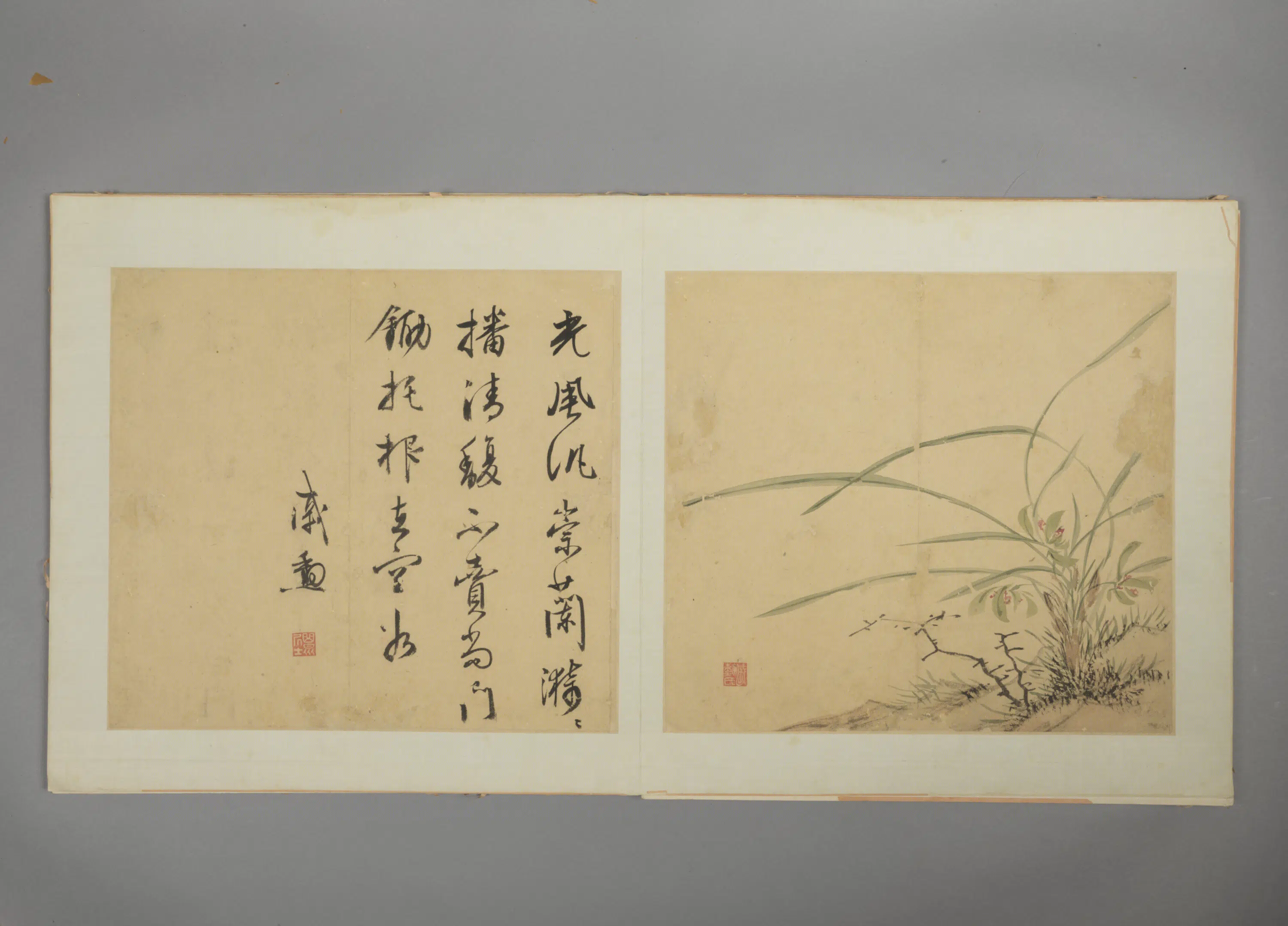 明朝【戚勋】《花卉册》 第8张