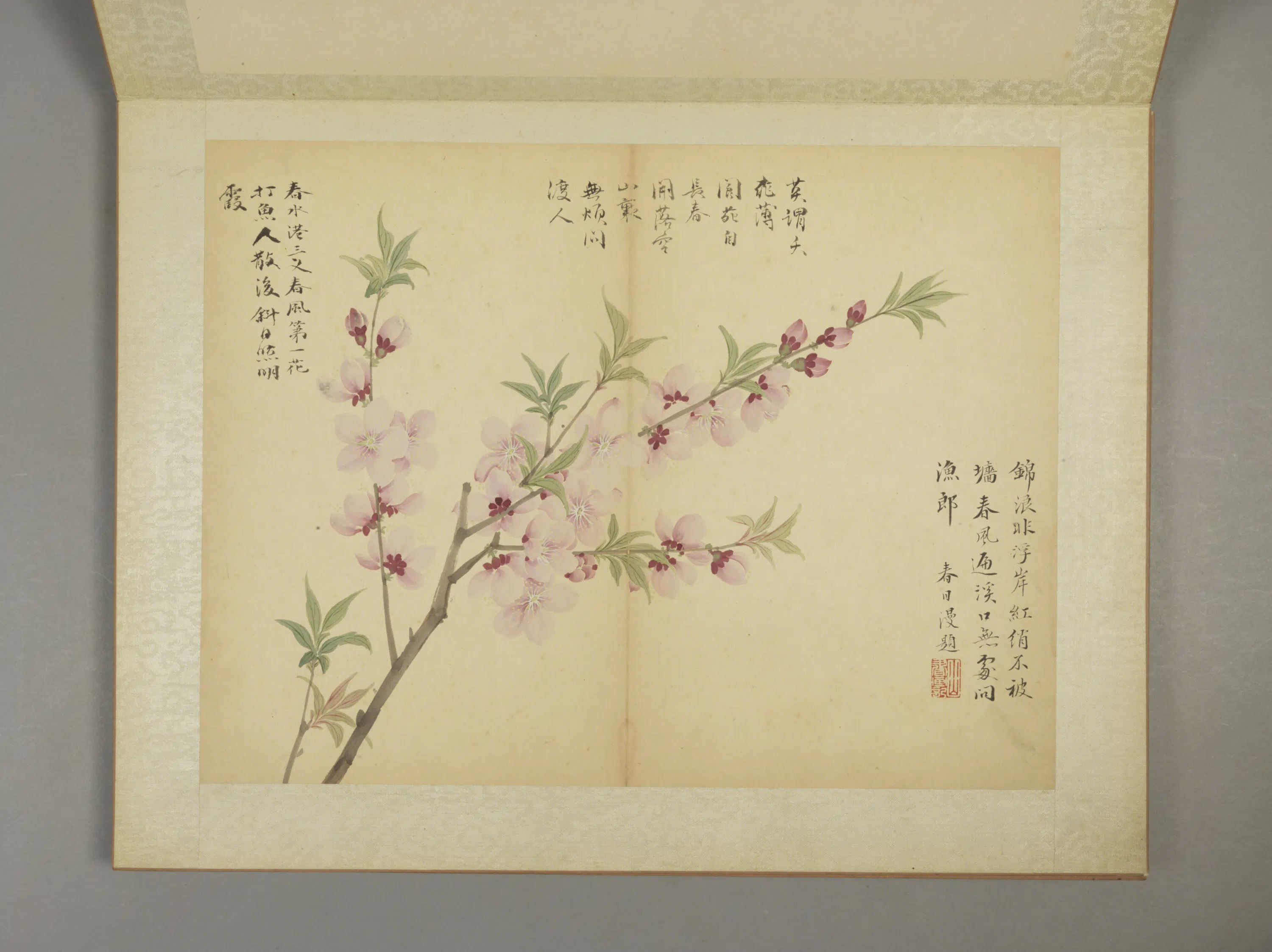 清代【邹一桂】《花卉图册（11开）》 第9张