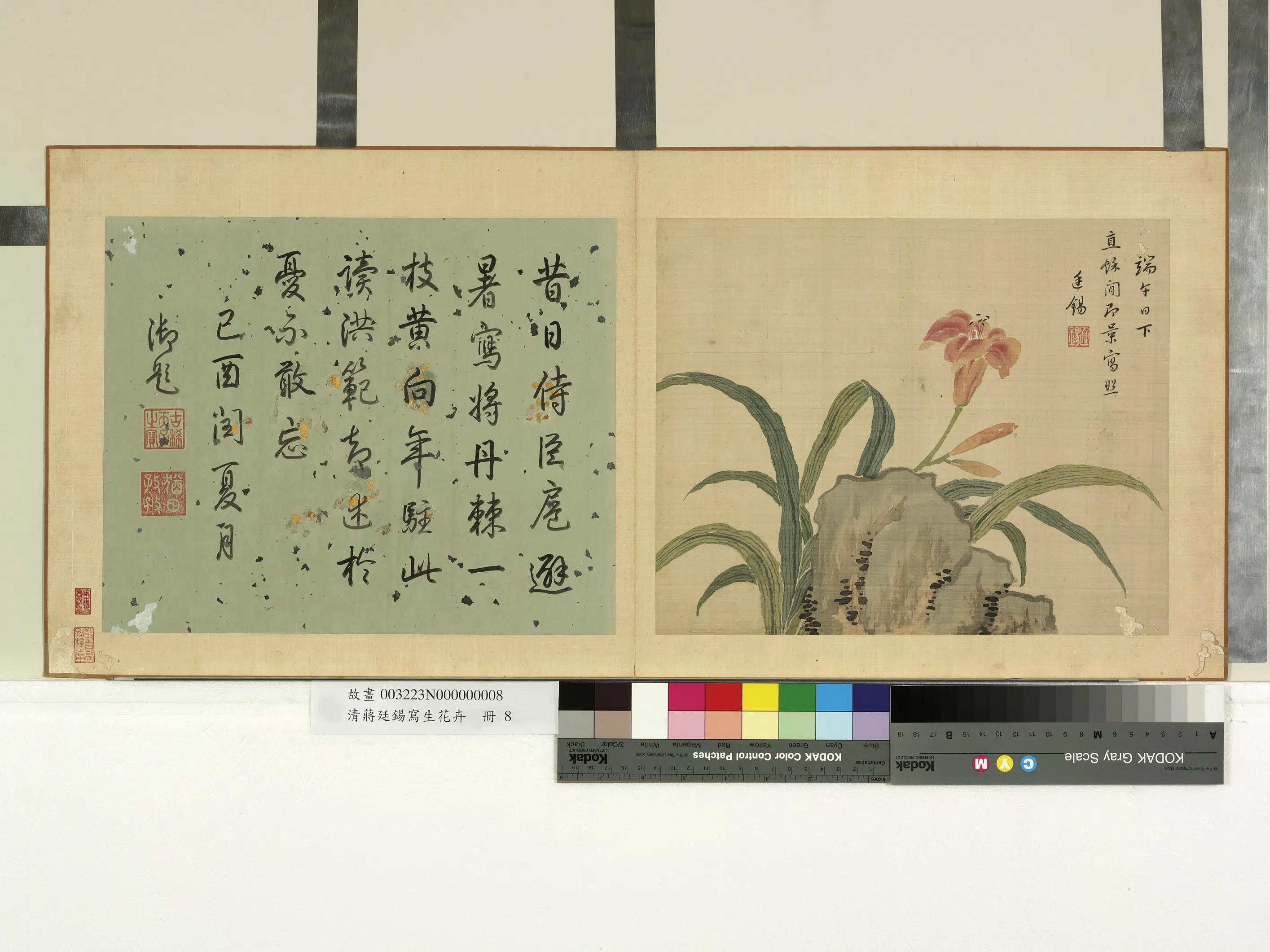 清代【蒋廷锡】《写生花卉册》 第8张