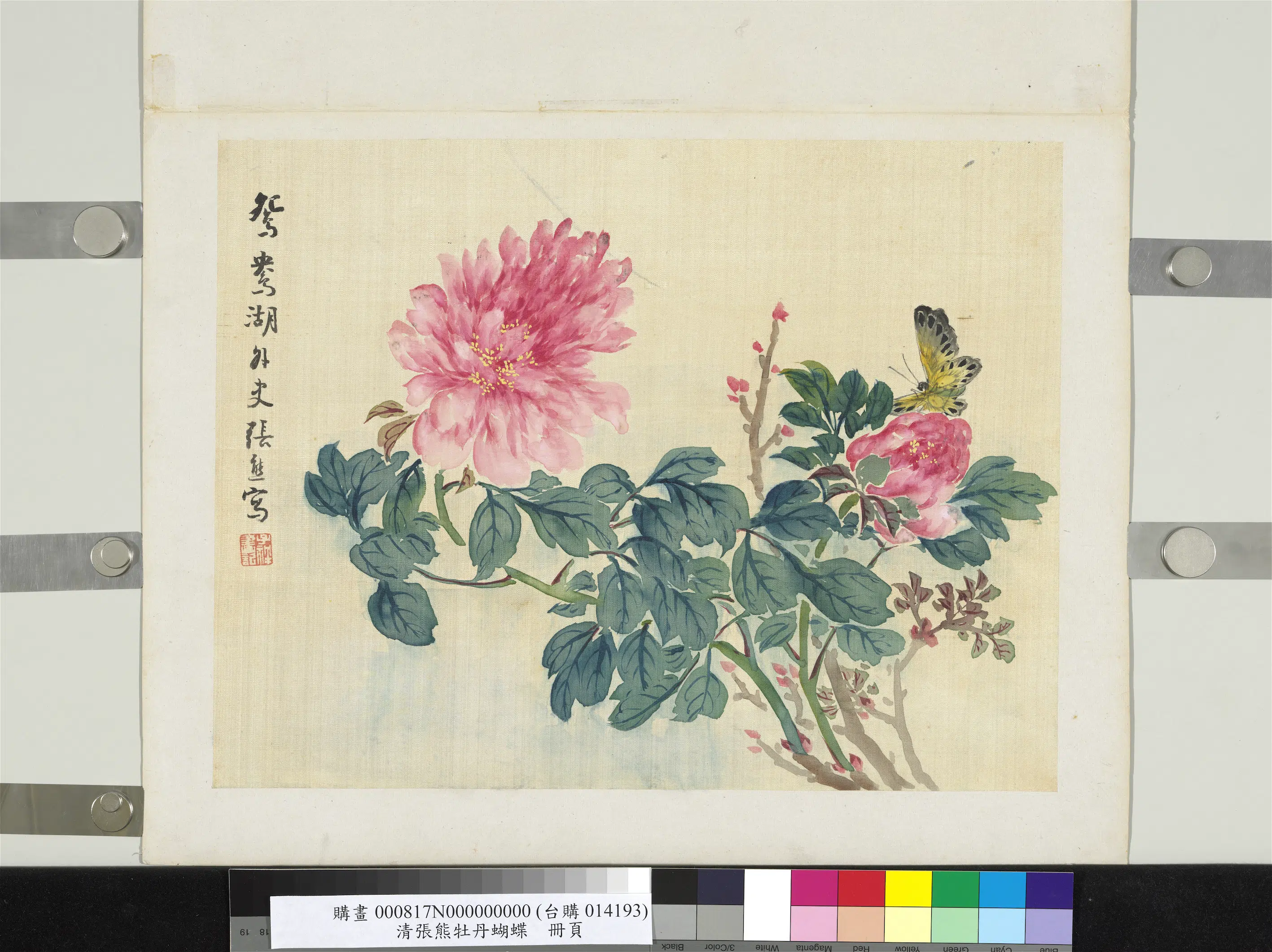 清代【张熊】《牡丹蝴蝶册页》