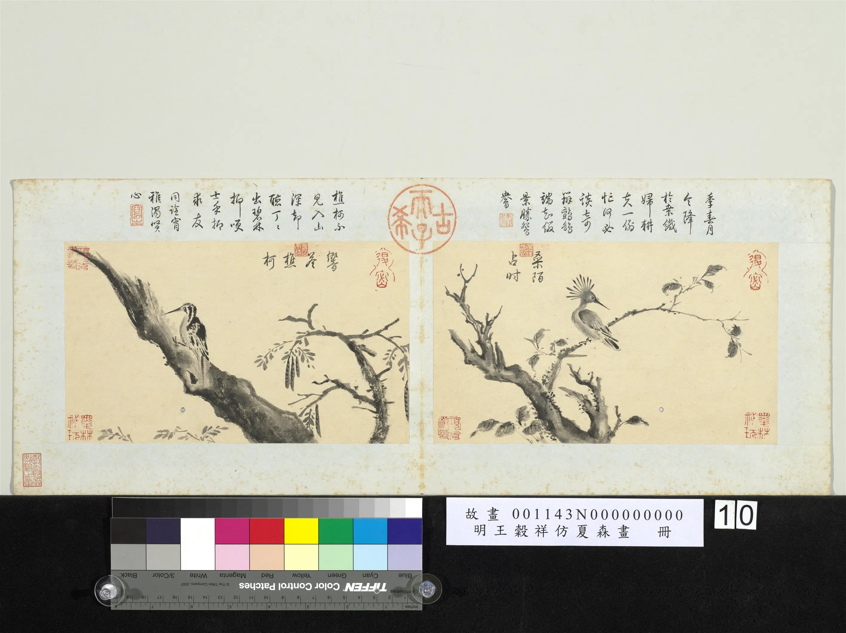明朝【王谷祥（王穀祥）】《仿夏森画册》 第10张