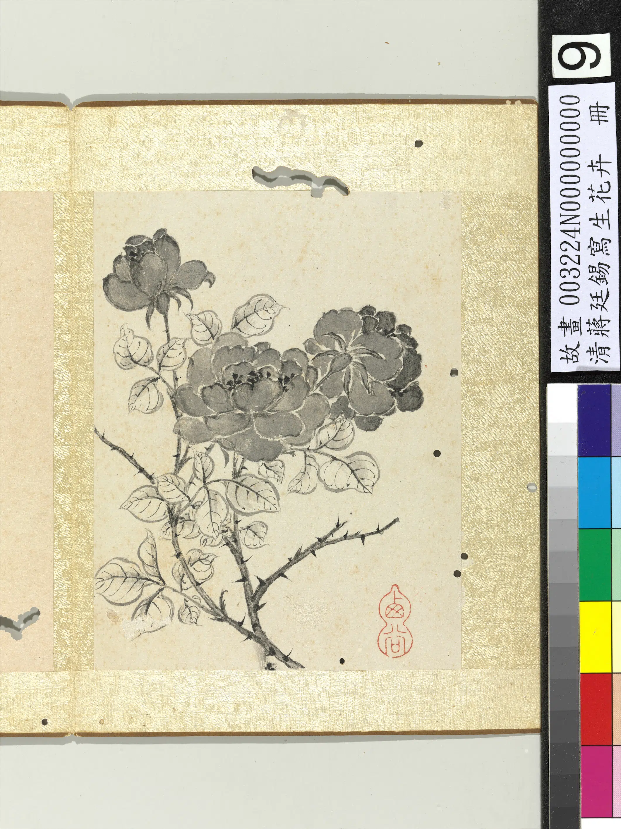 清代【蒋廷锡】《写生花卉册》 第3张