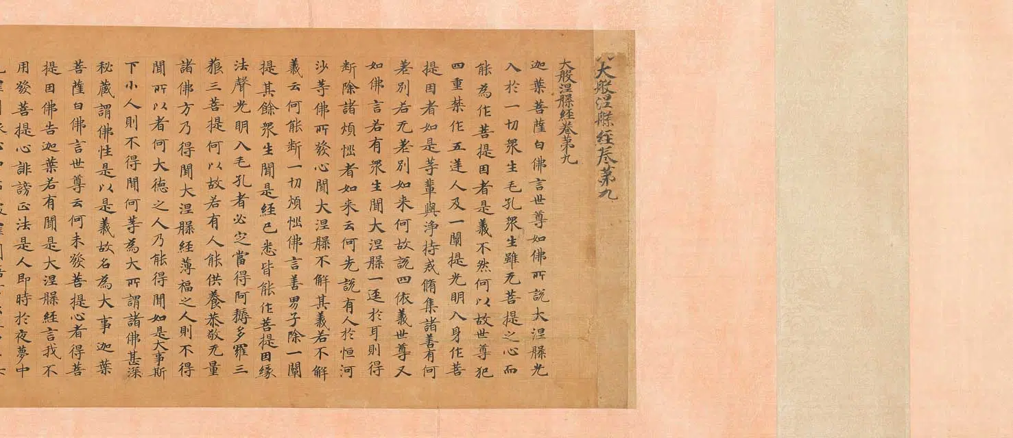 唐朝【佚名】《楷书大般涅槃经第九卷》 第4张 唐朝【佚名】《楷书大般涅槃经第九卷》 第4张