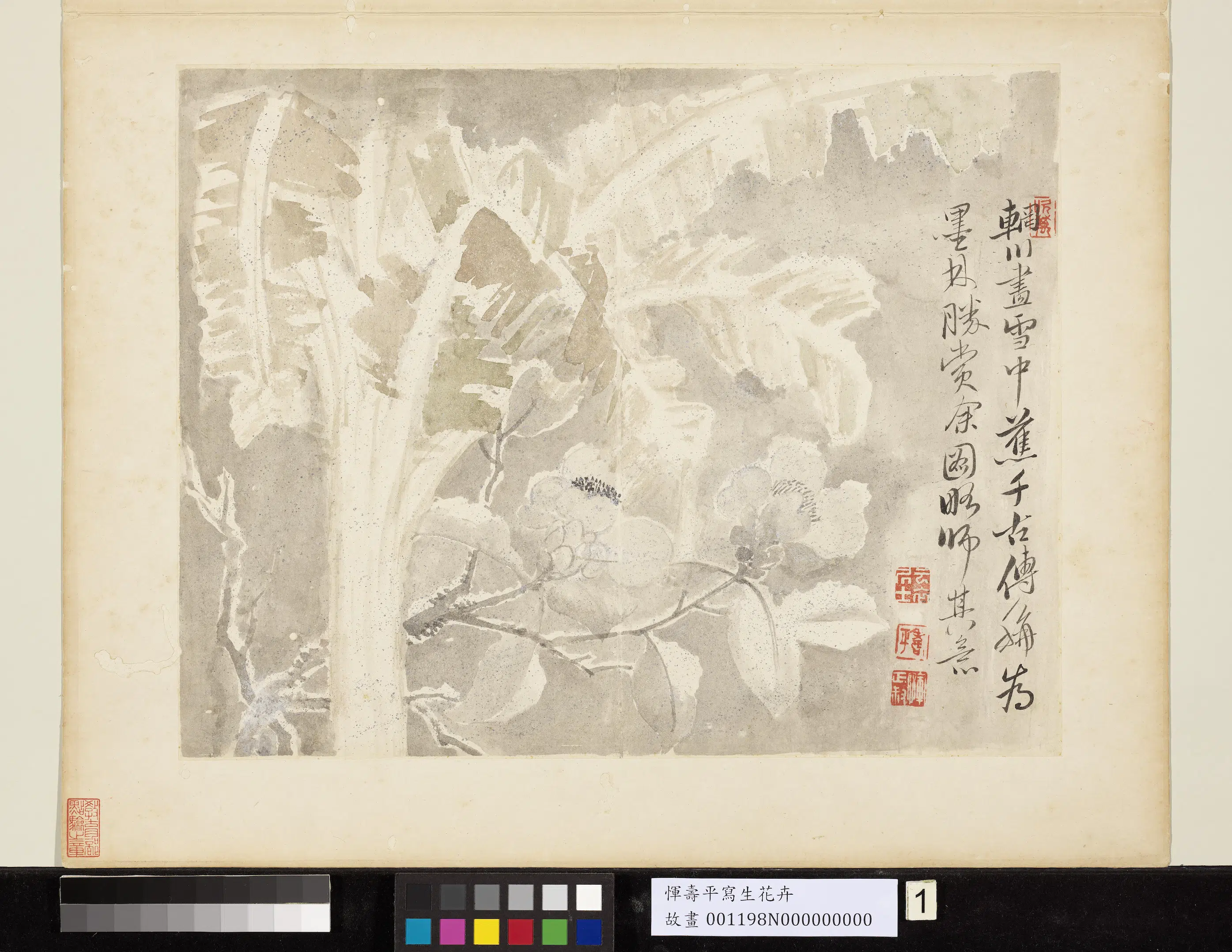 清代【恽寿平】《写生花卉册》 第11张 清代【恽寿平】《写生花卉册》 第11张