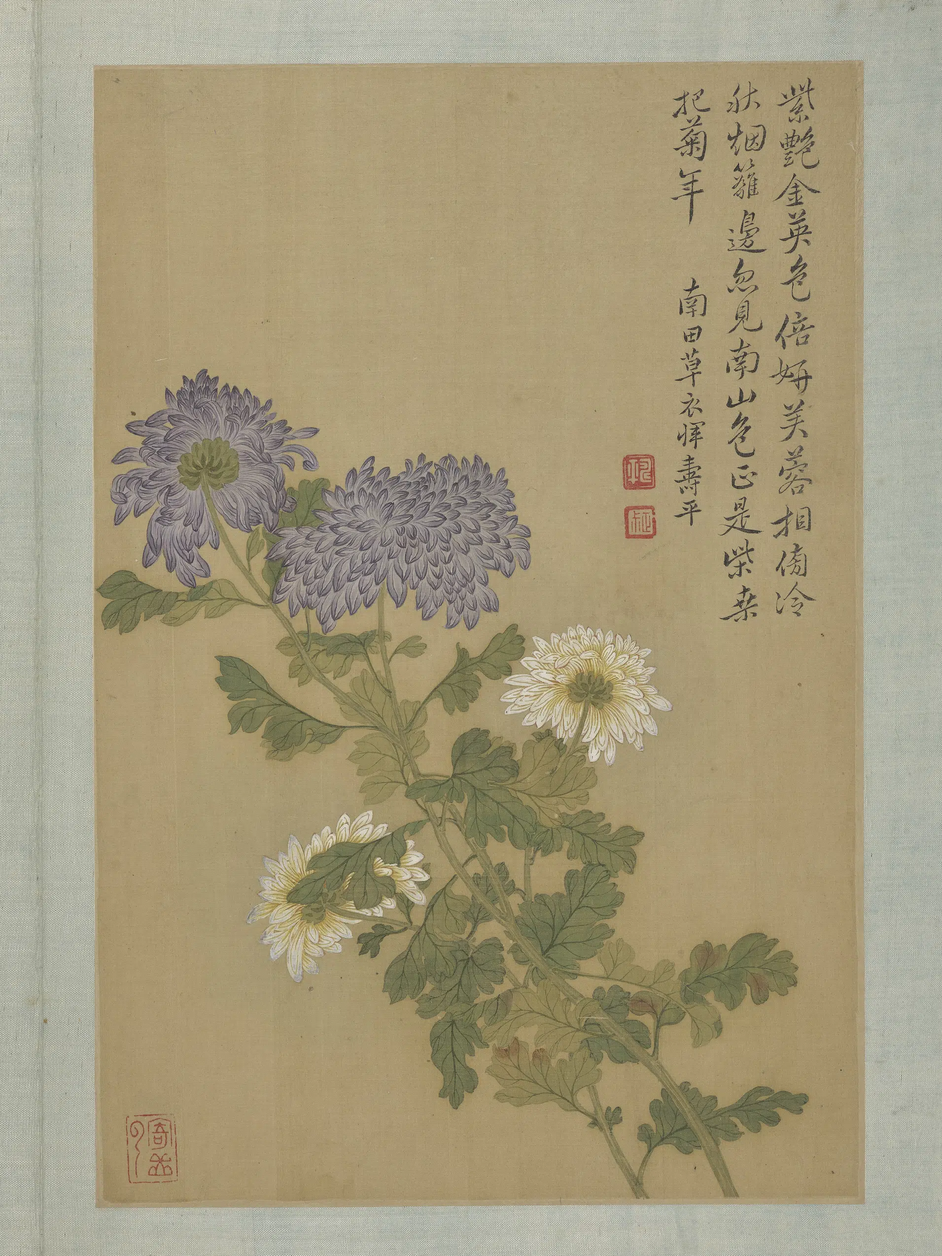 清代【恽寿平】《画花卉册-菊花》