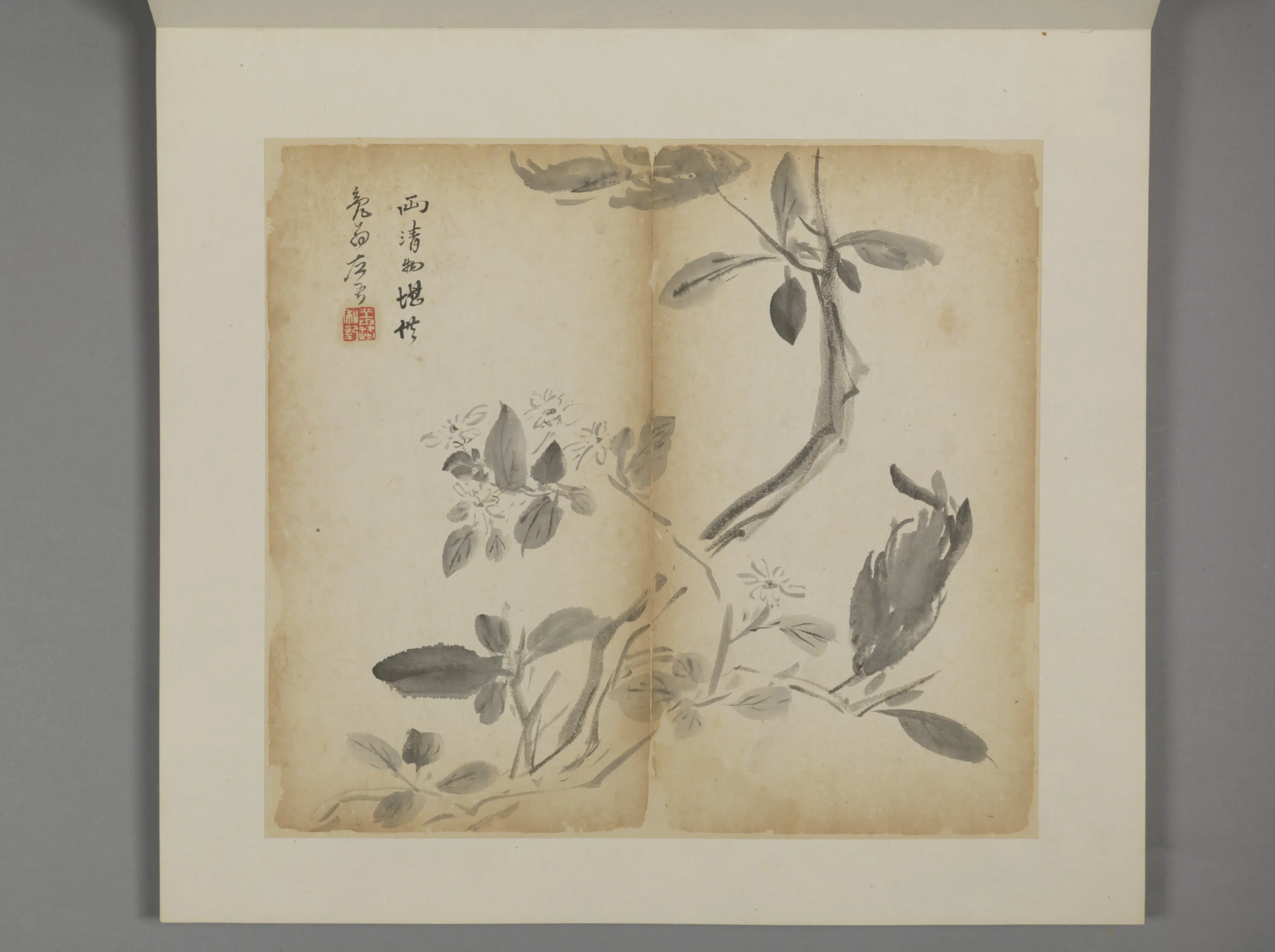 清代【王露】《花卉册》 第6张 清代【王露】《花卉册》 第6张