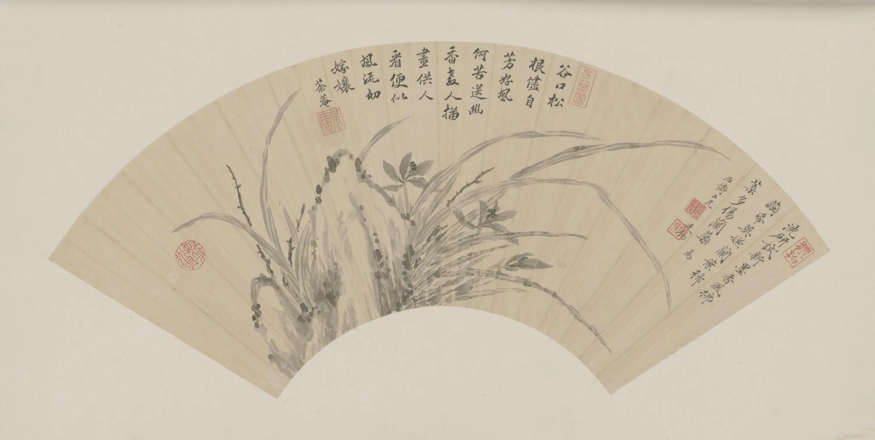 清代【蒋廷锡】《兰石图扇页》