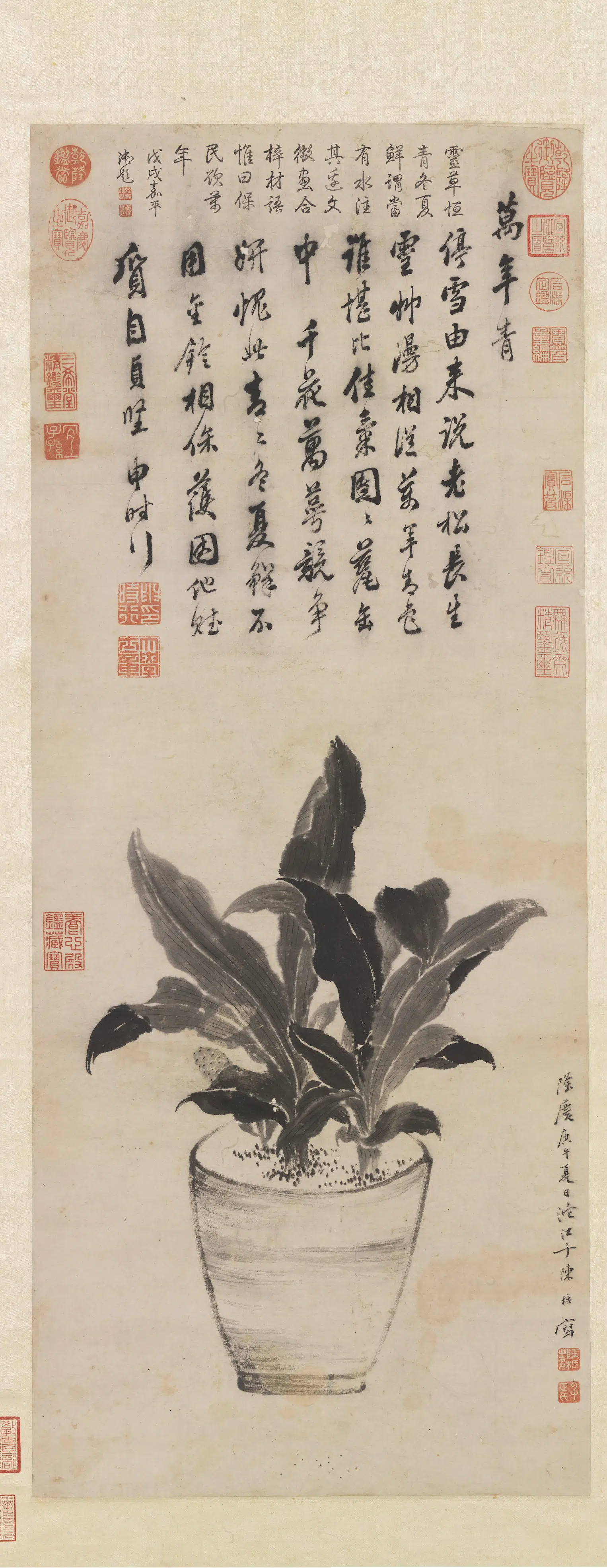 明朝【陈栝】《画万年青图轴》