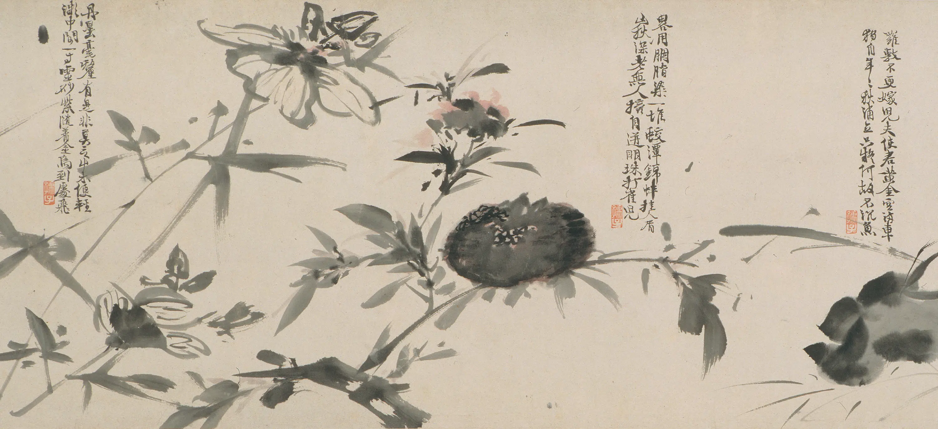 明朝【徐渭】《花卉图卷》 第5张 明朝【徐渭】《花卉图卷》 第5张