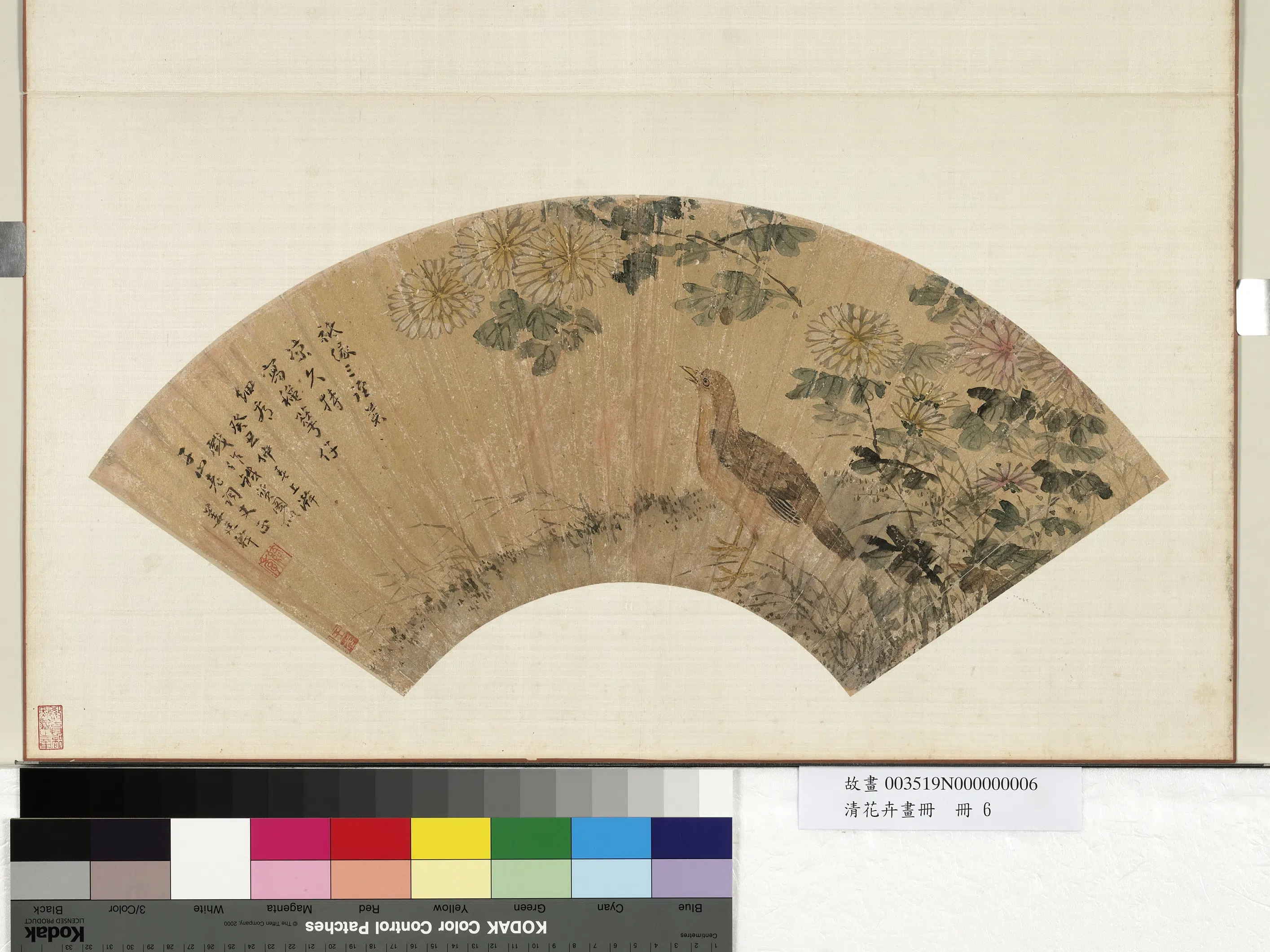 清代【姜廷干】《花卉画册-菊花翎毛》