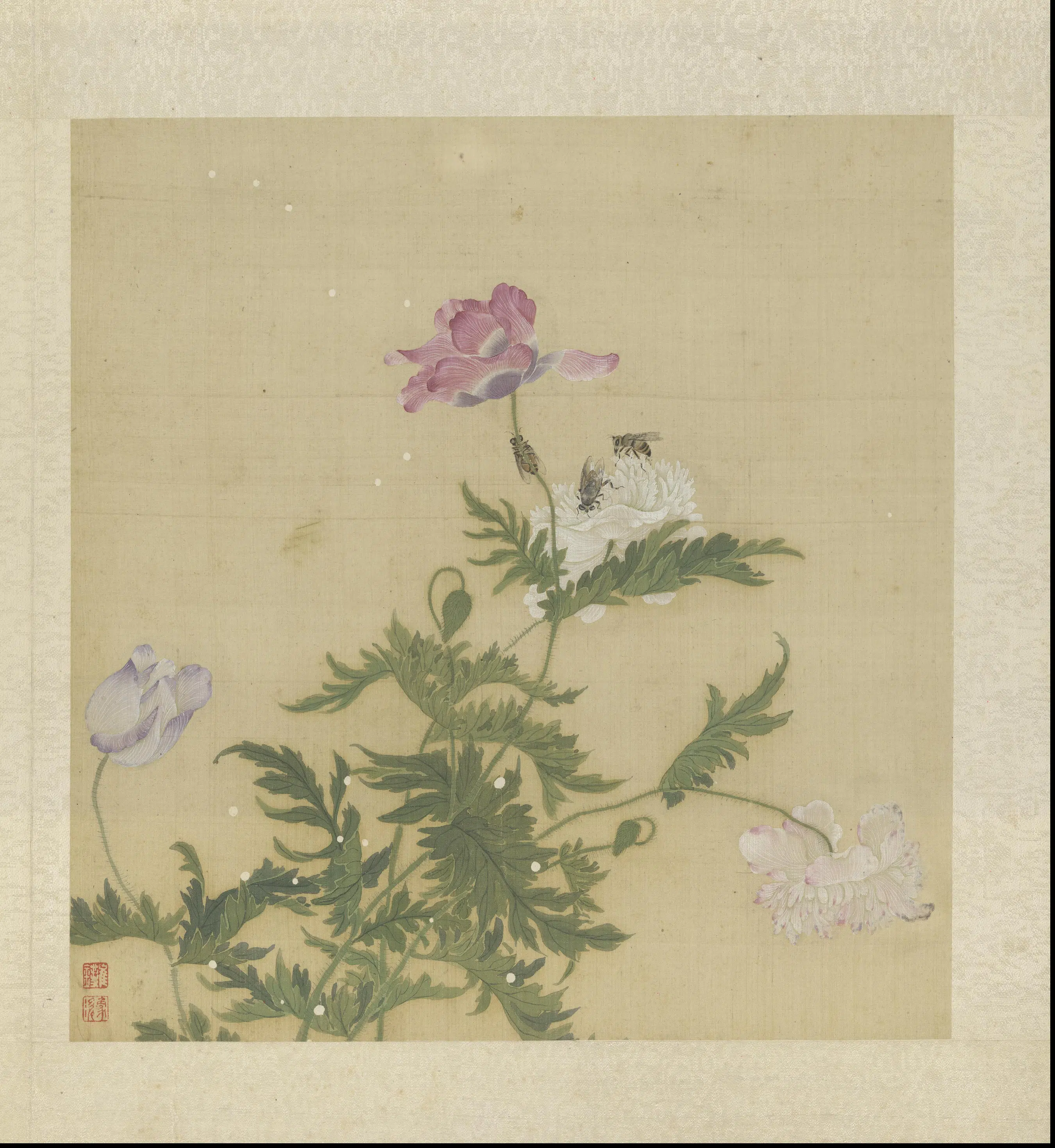 清代【崔鏏】《花卉草虫图册》 第9张