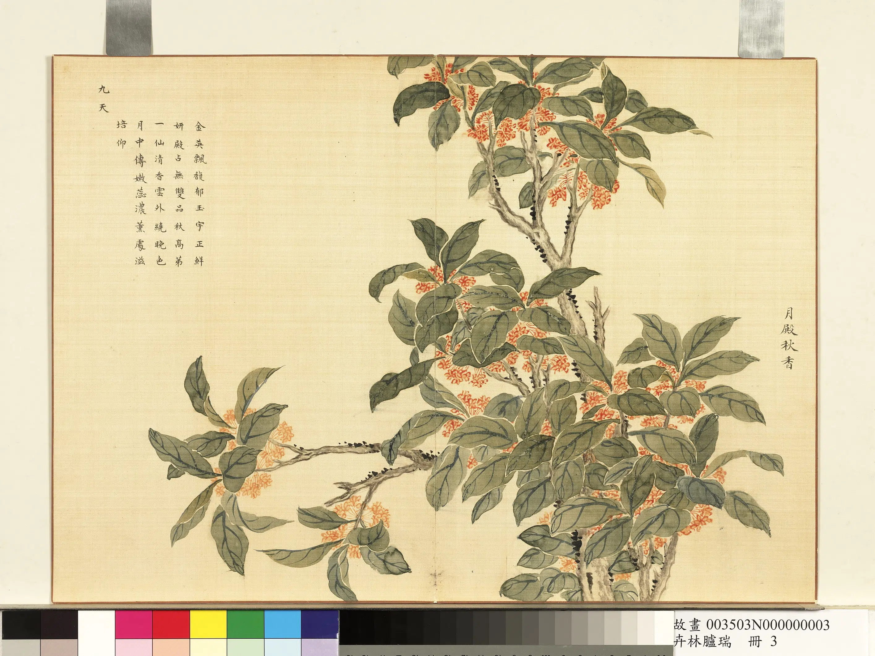 清代《卉林胪瑞册》 第7张