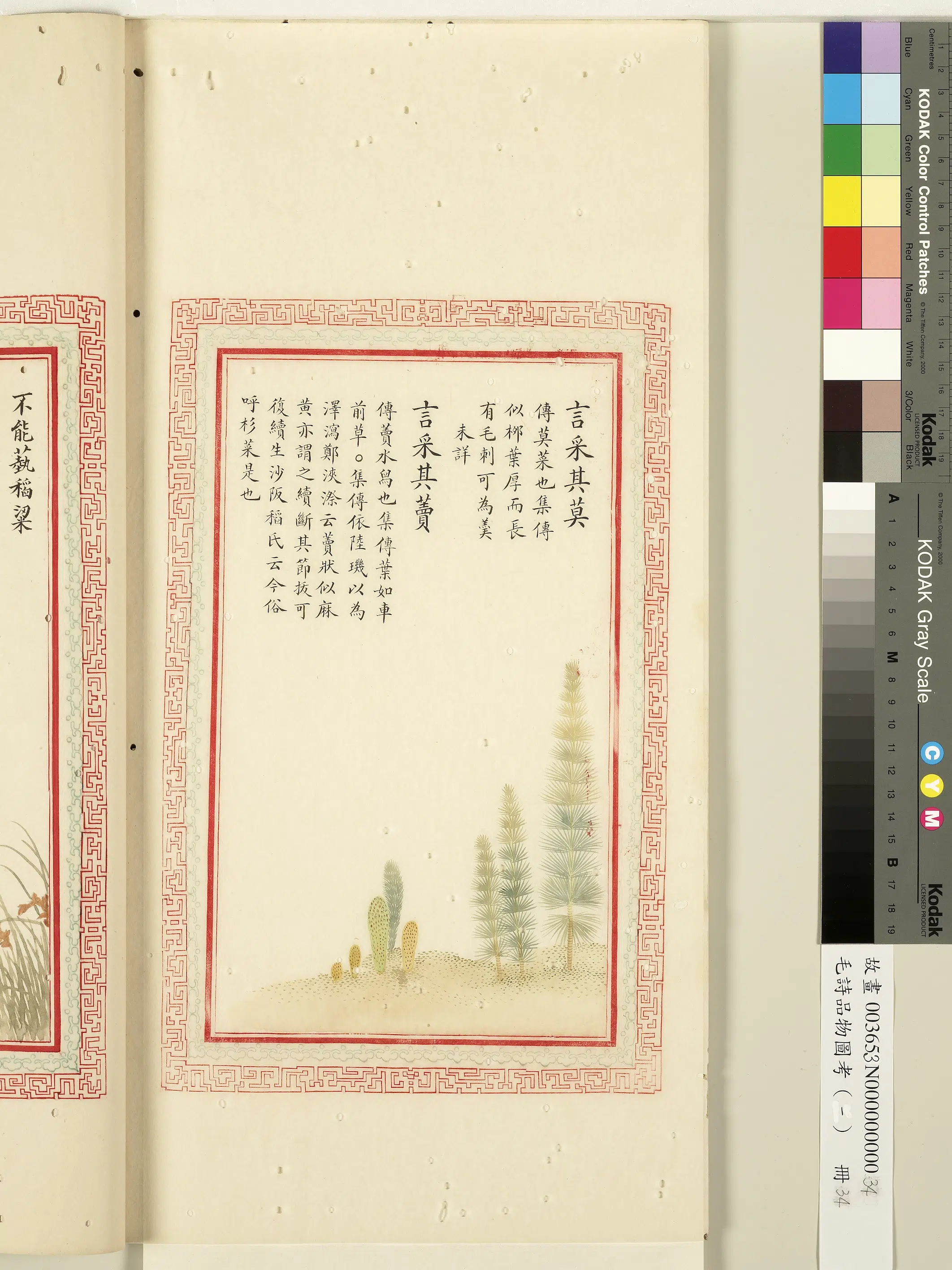 清代《毛诗品物图考(一)册-1》 第46张 清代《毛诗品物图考(一)册-1》 第46张