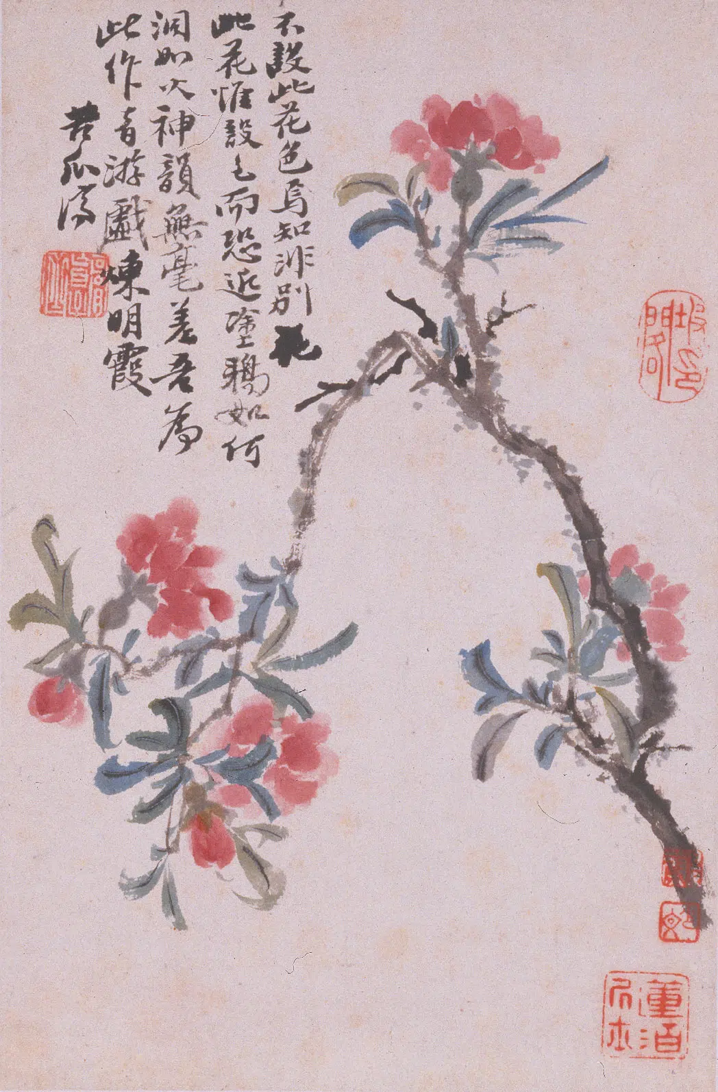 清代【石涛】《花卉册》 第9张 清代【石涛】《花卉册》 第9张