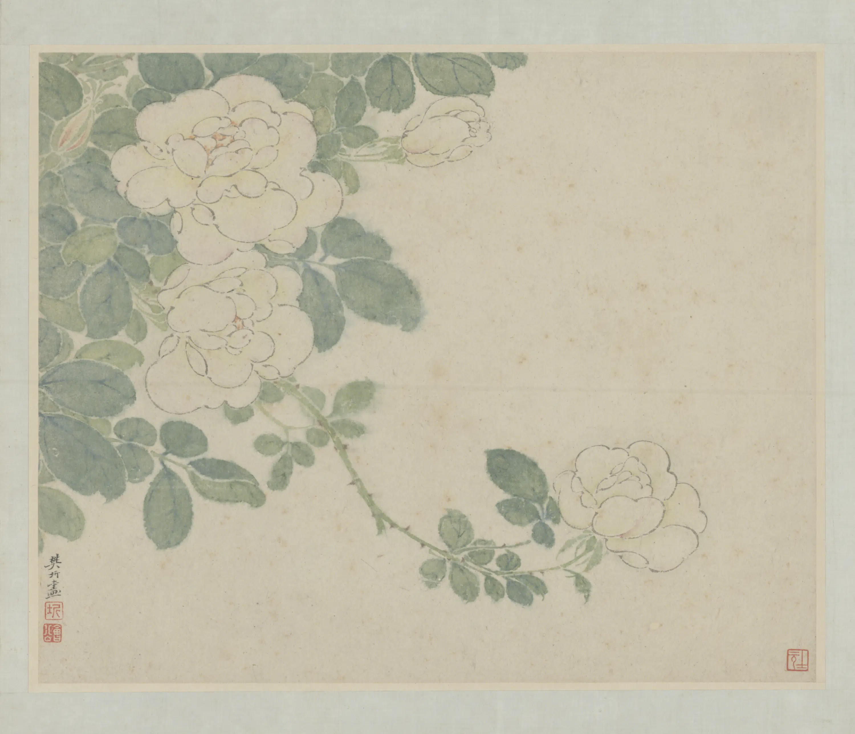清代【樊圻】《金陵诸家山水花卉册-花卉页》