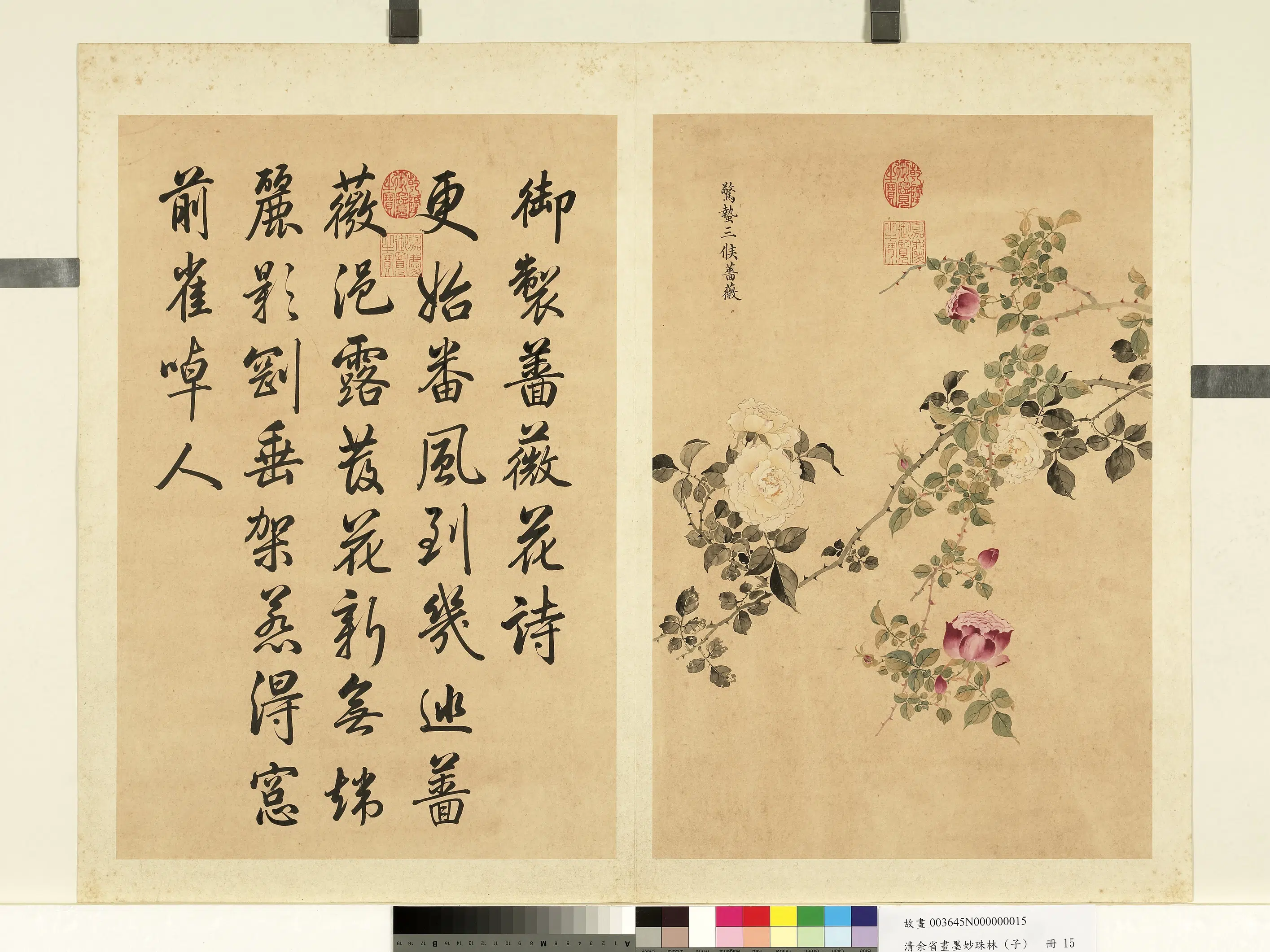 清代【余省】《画墨妙珠林（子）册》 第8张