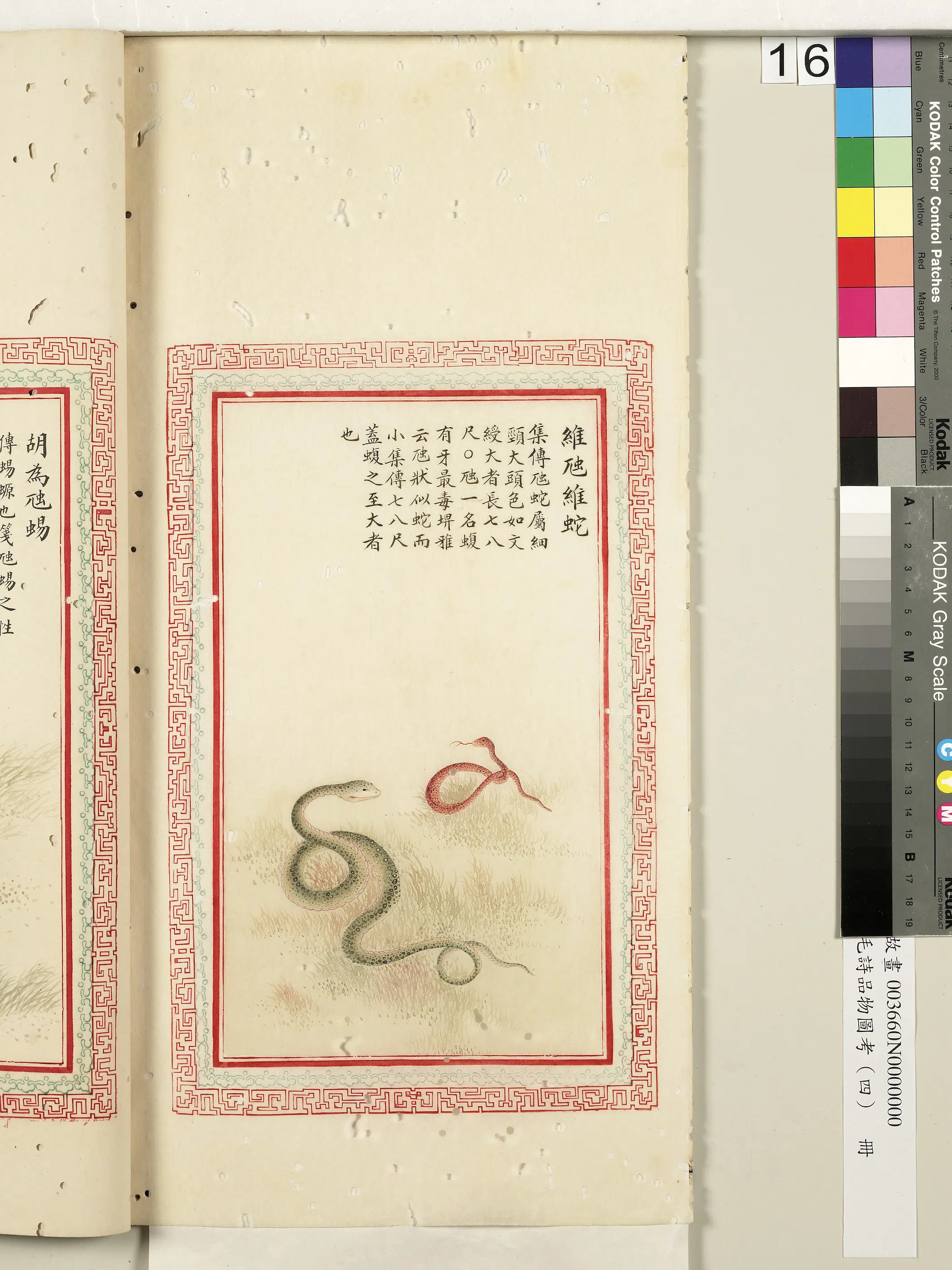 清代《毛诗品物图考(四)册-2》 第13张 清代《毛诗品物图考(四)册-2》 第13张