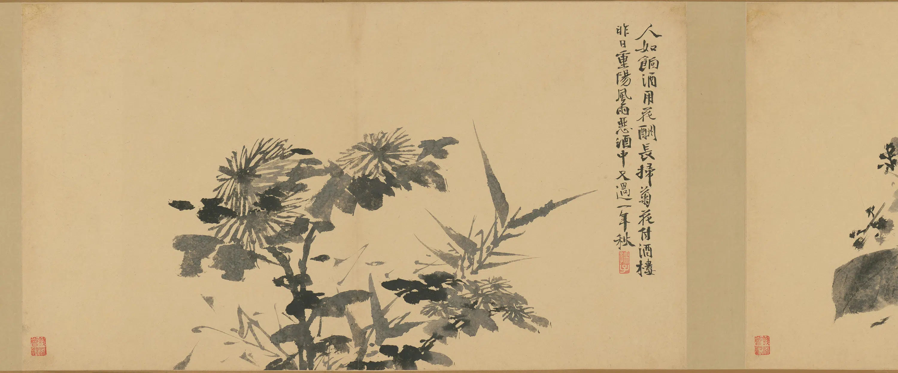 明朝【徐渭】《墨花卷》 第18张