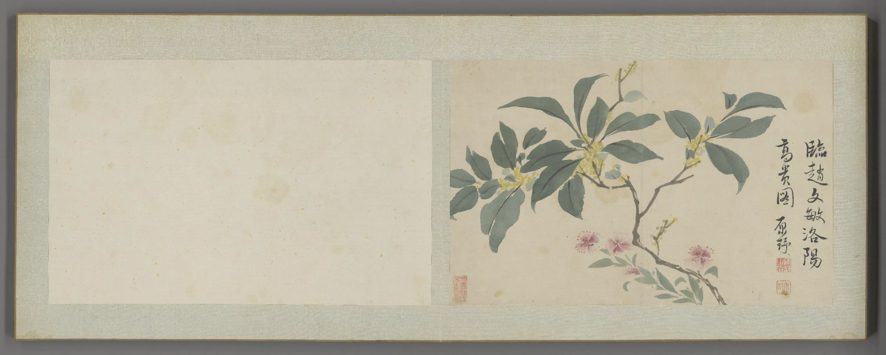 清代【陈舒】《花卉册（12开）》 第11张