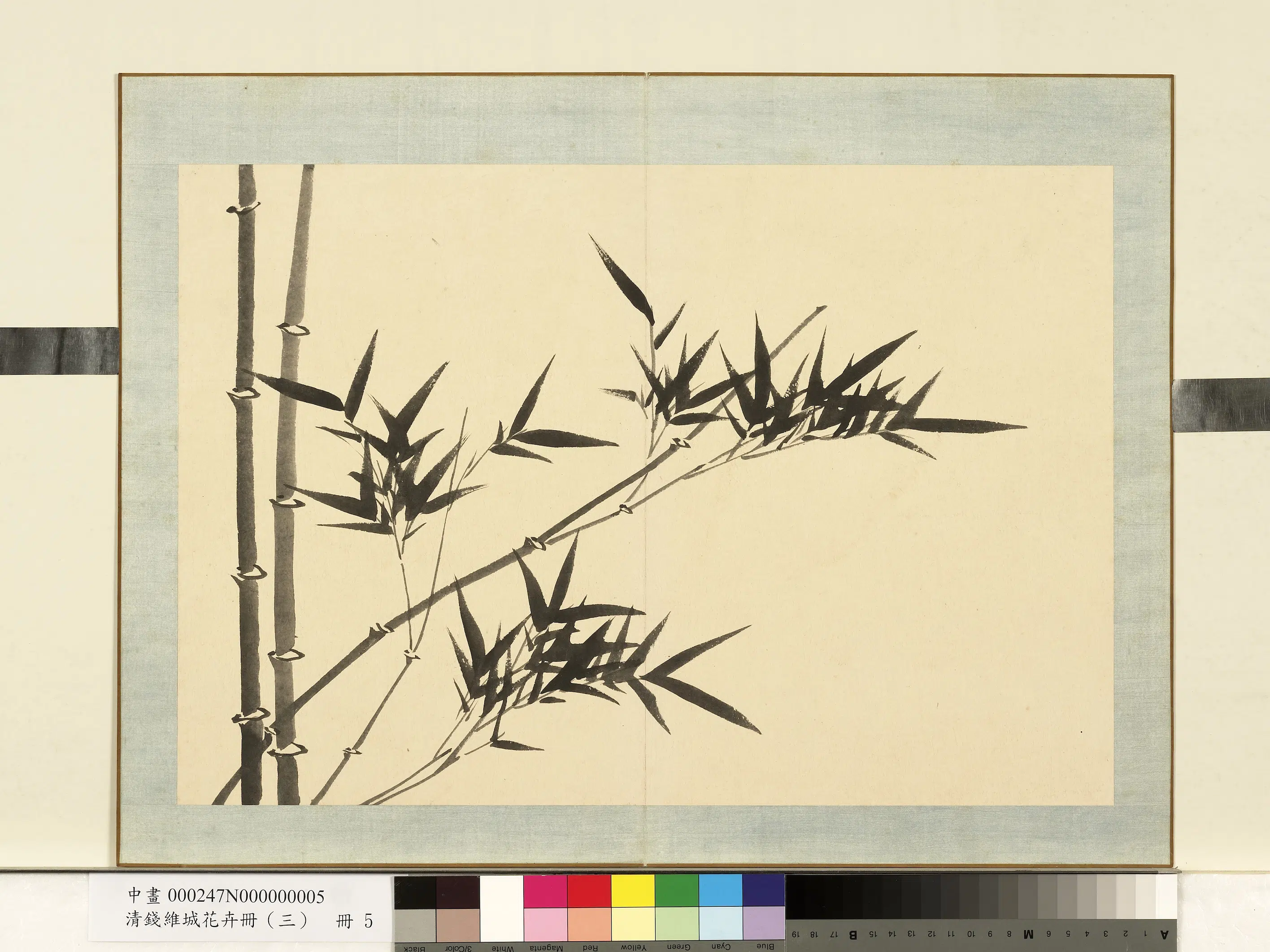 清代【钱维城】《花卉册（三）册-画竹之五》