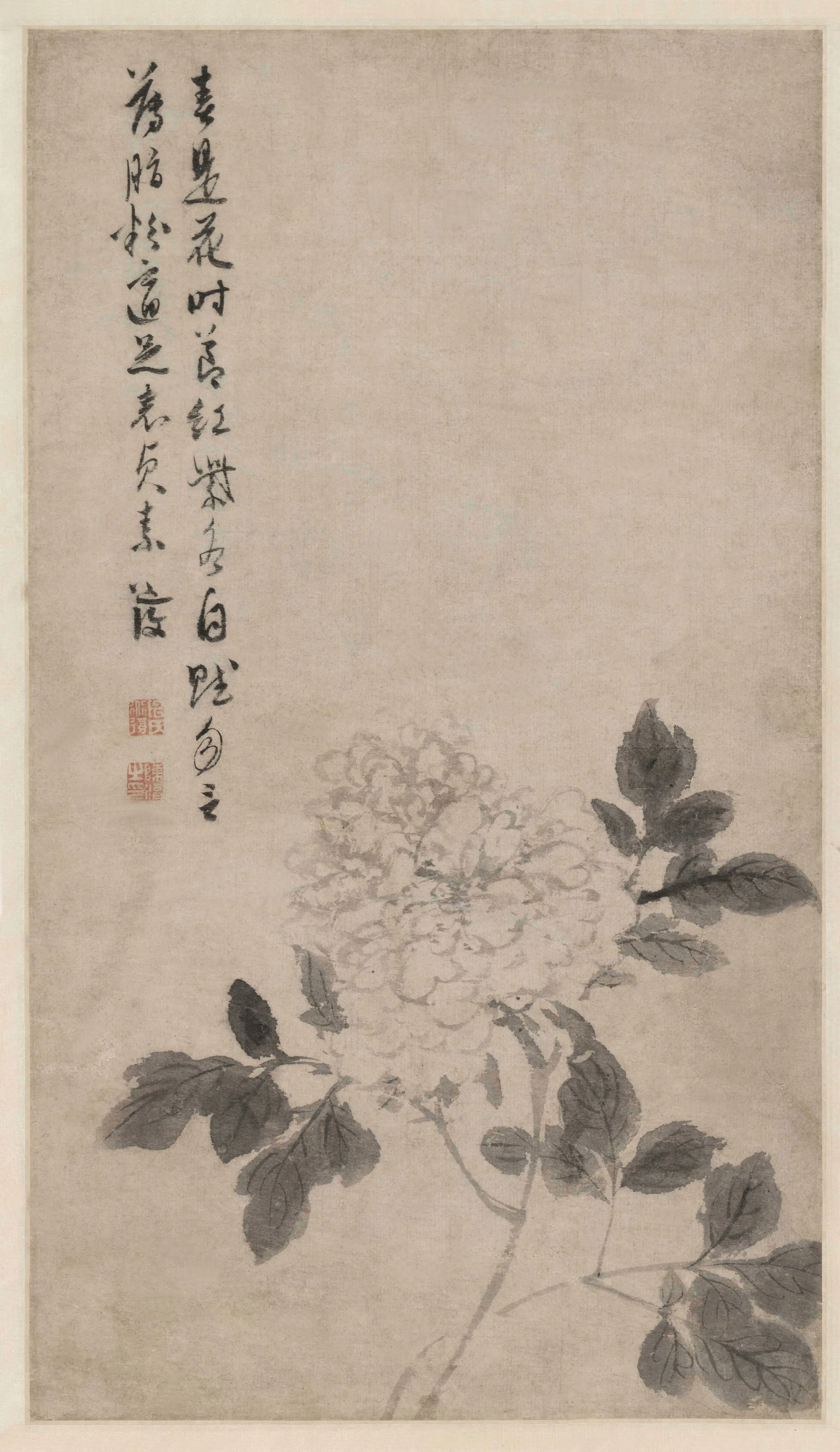 明朝【陈淳（道复）-可能重复】《陈道复牡丹花卉图轴》