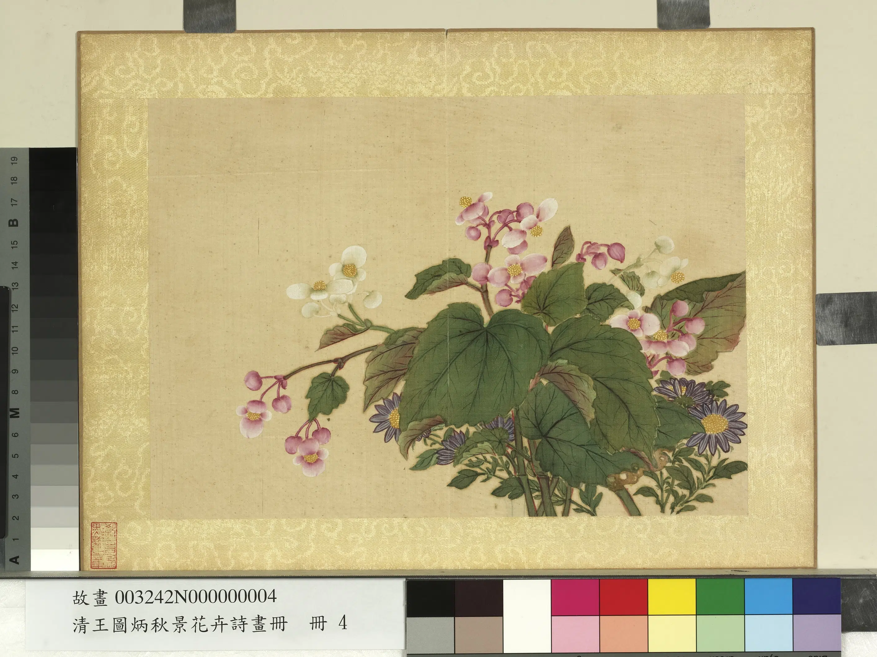 清代【王图炳】《秋景花卉诗画册》 第15张 清代【王图炳】《秋景花卉诗画册》 第15张