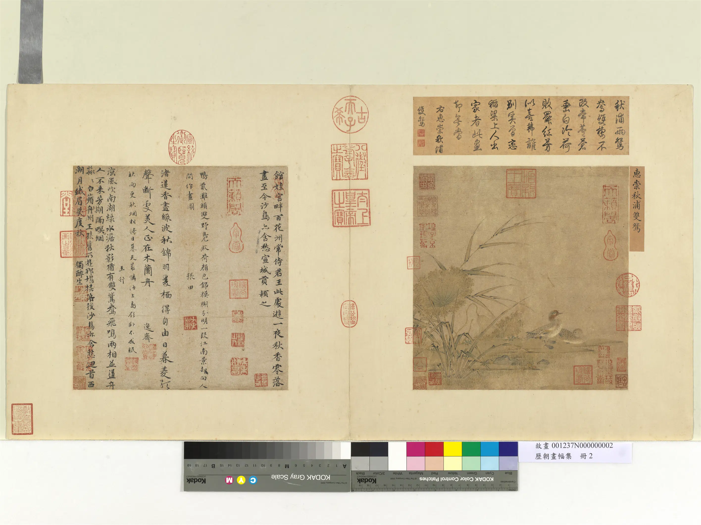 北宋【惠崇】《历朝画幅集册-秋浦双鸳》