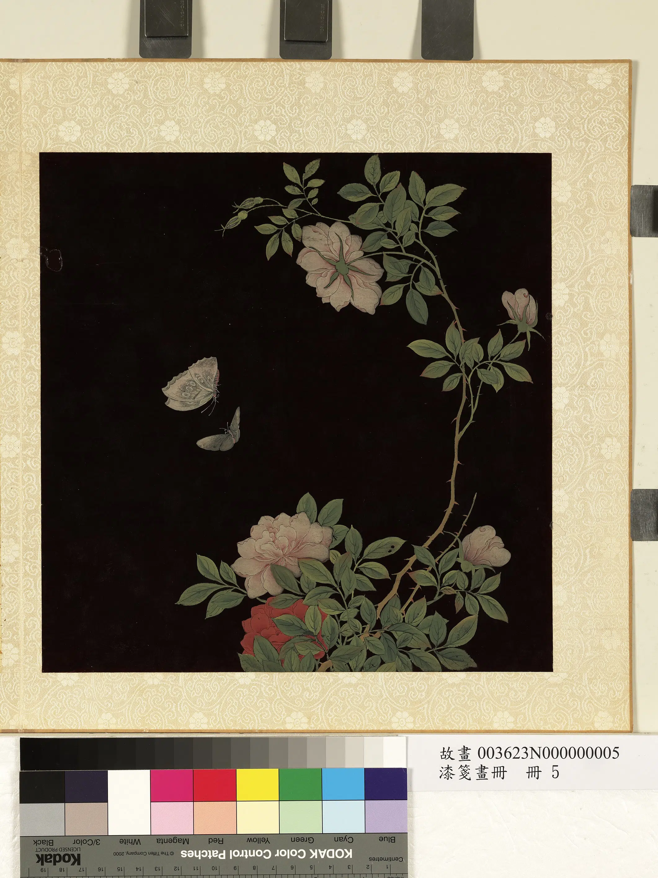 清朝【佚名】《漆笺画册-花蝶-1》