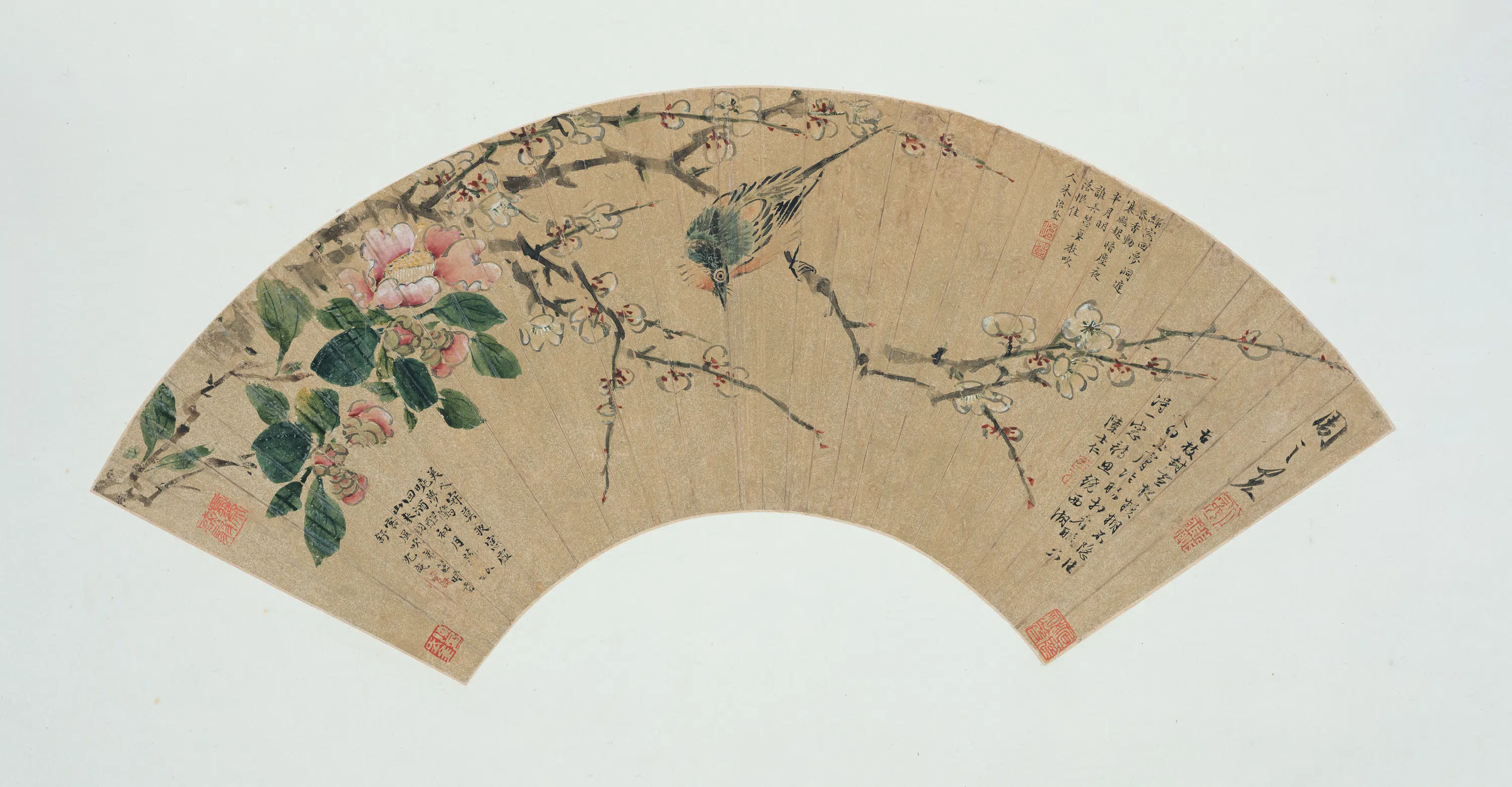 明朝【周之冕】《花鸟扇册-2》