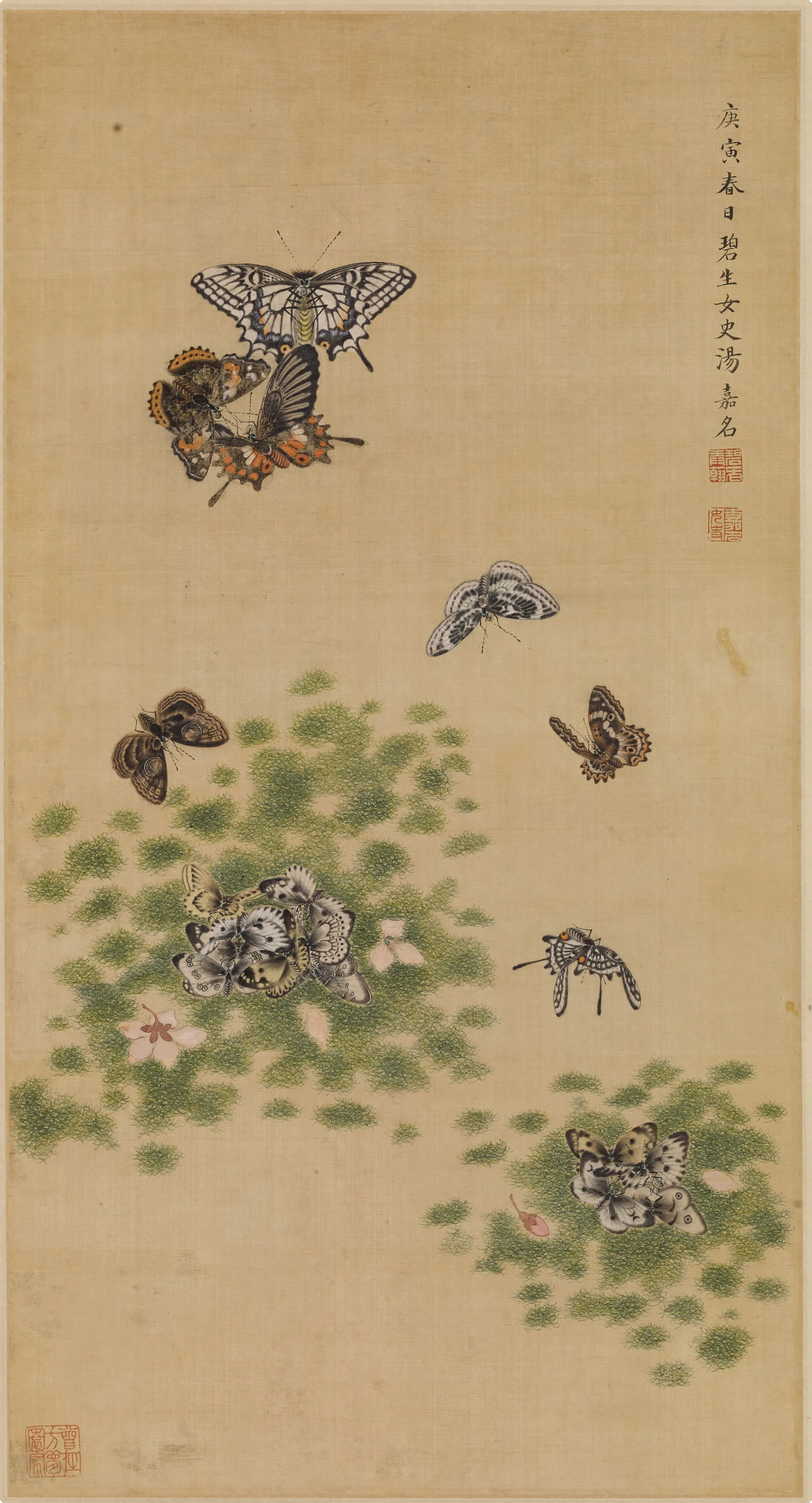 清代【汤嘉名】《花蝶图轴》