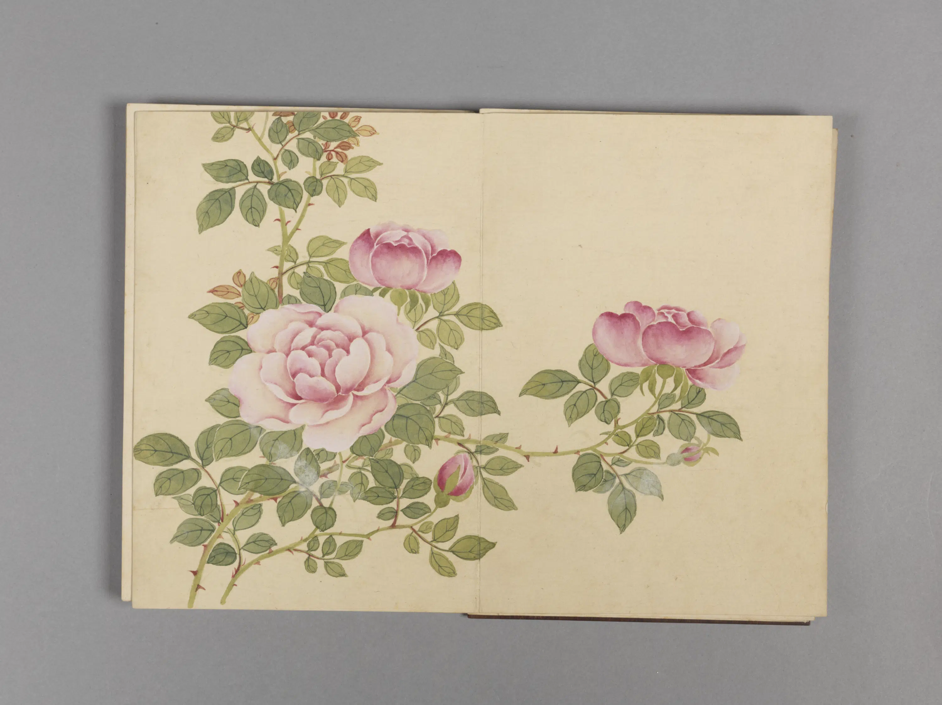 清代【董诰】《花卉小册（16开）》 第2张