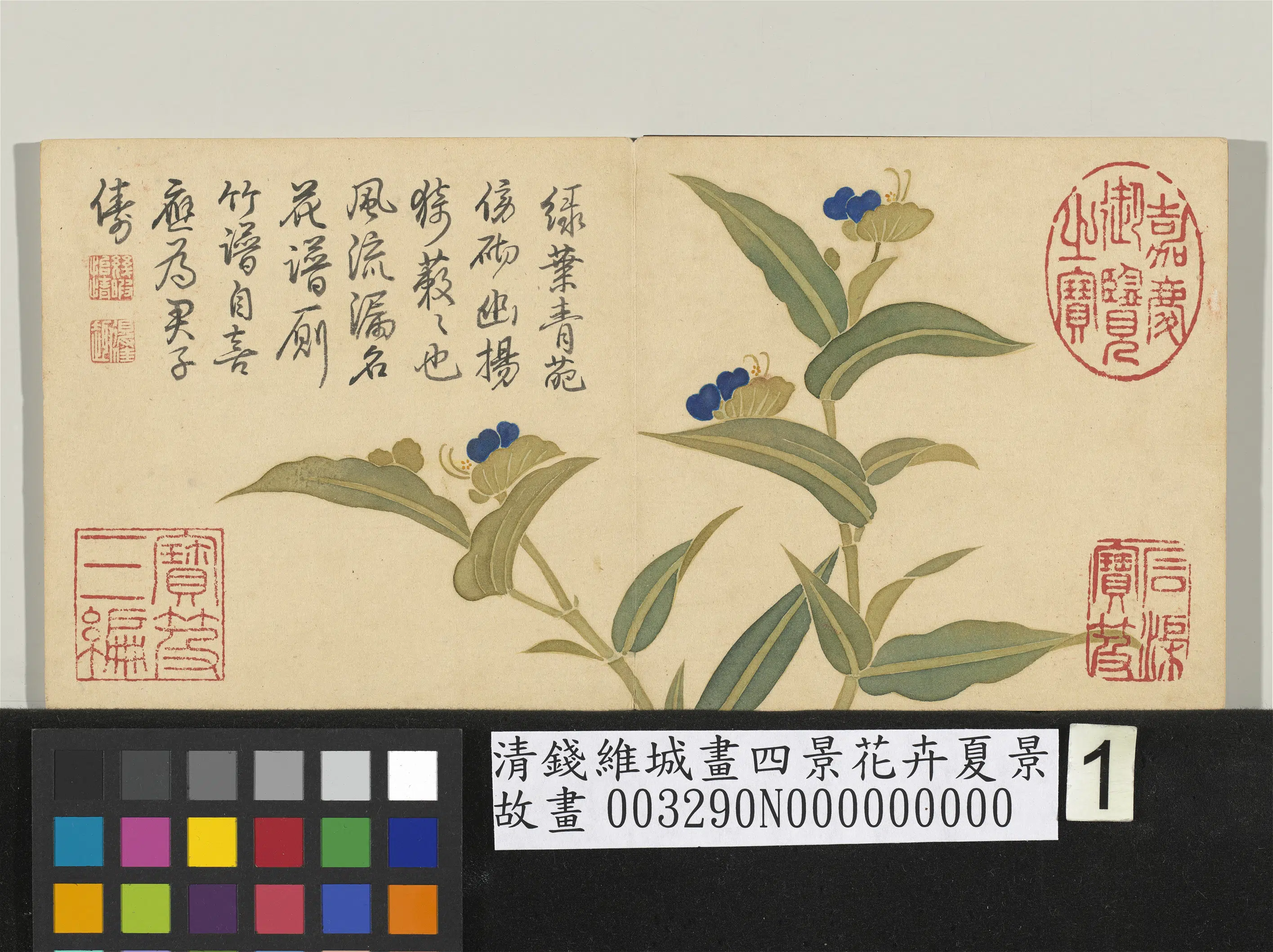 清代【钱维城】《画四景花卉夏景册》 第2张 清代【钱维城】《画四景花卉夏景册》 第2张
