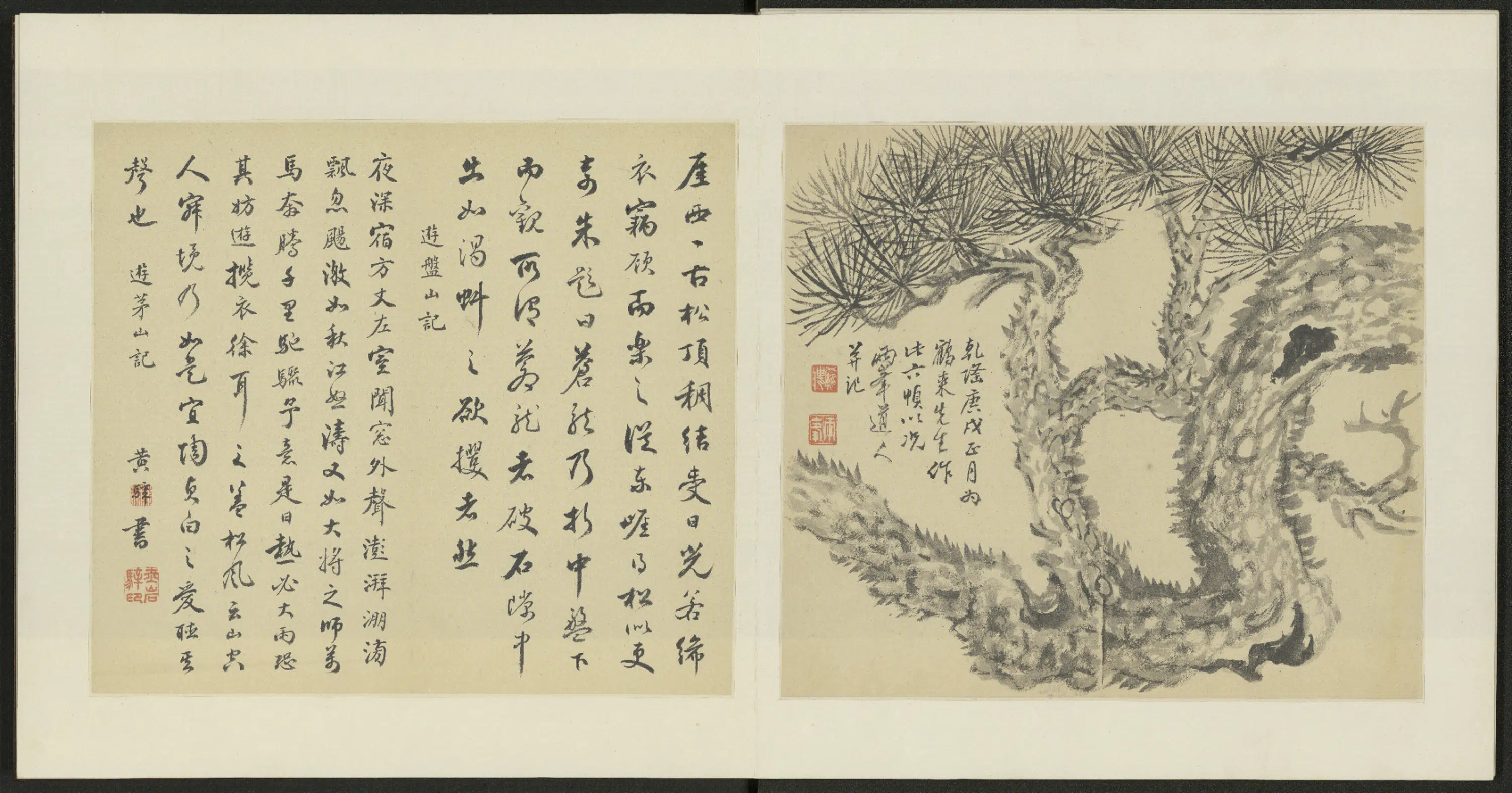 清代【罗聘】《花卉松竹图册(6开)》 第6张 清代【罗聘】《花卉松竹图册(6开)》 第6张