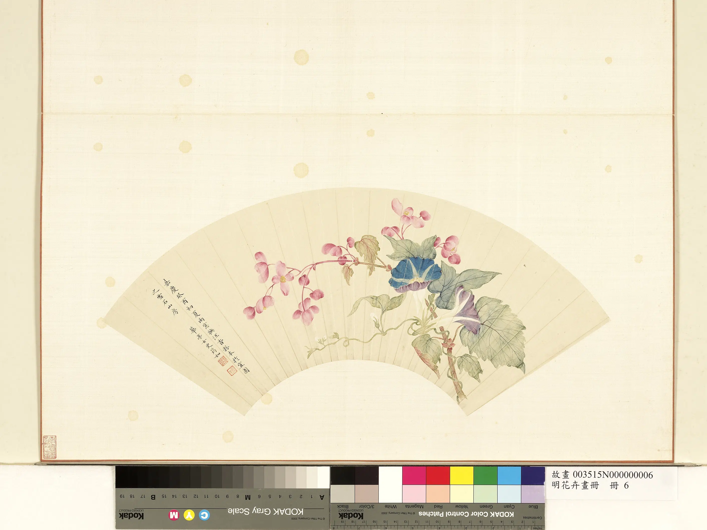 清代【张孍（张筠如）】《花卉画册-海棠牵牛花》