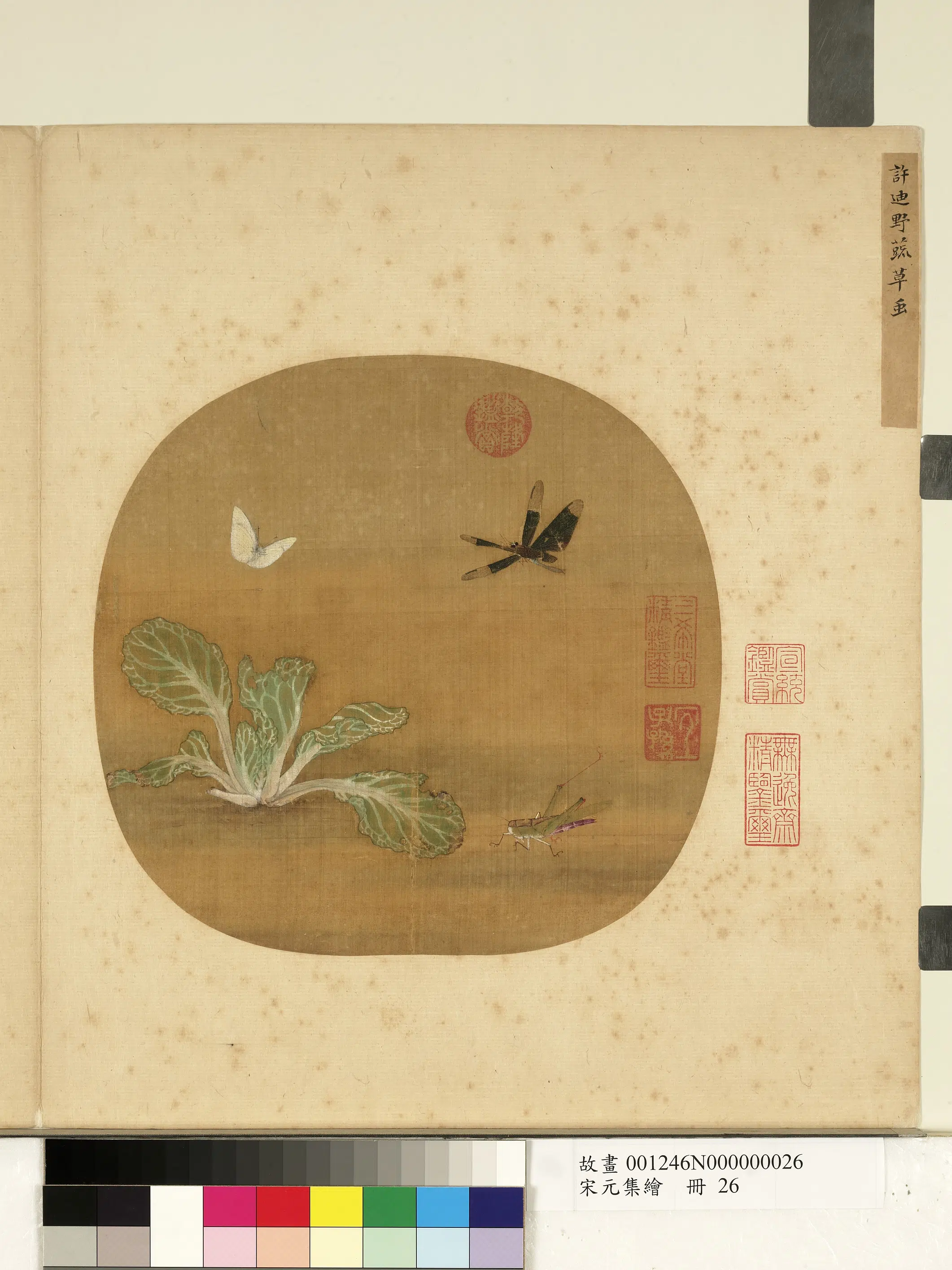 南宋【许迪】《宋元集绘册-野蔬草虫》