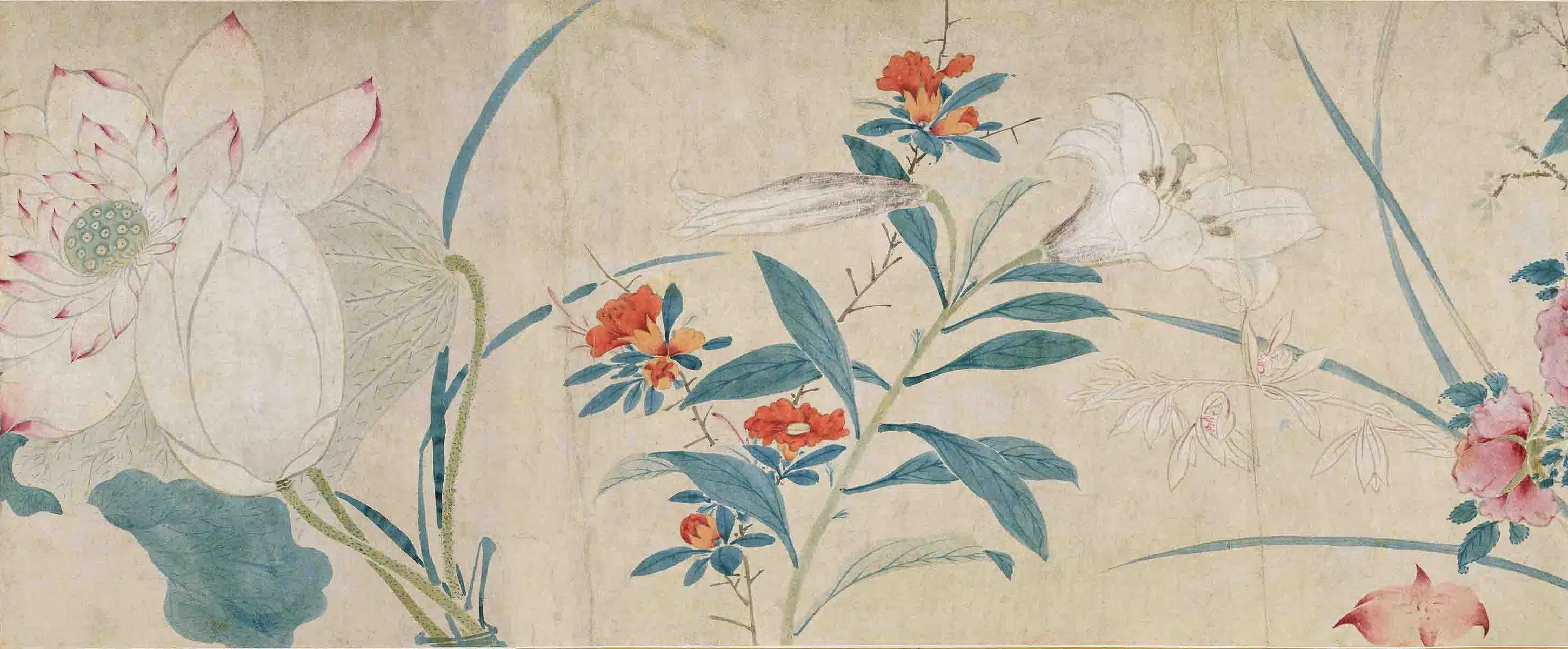 明朝【周之冕】《群芳竞秀图卷》 第2张 明朝【周之冕】《群芳竞秀图卷》 第2张
