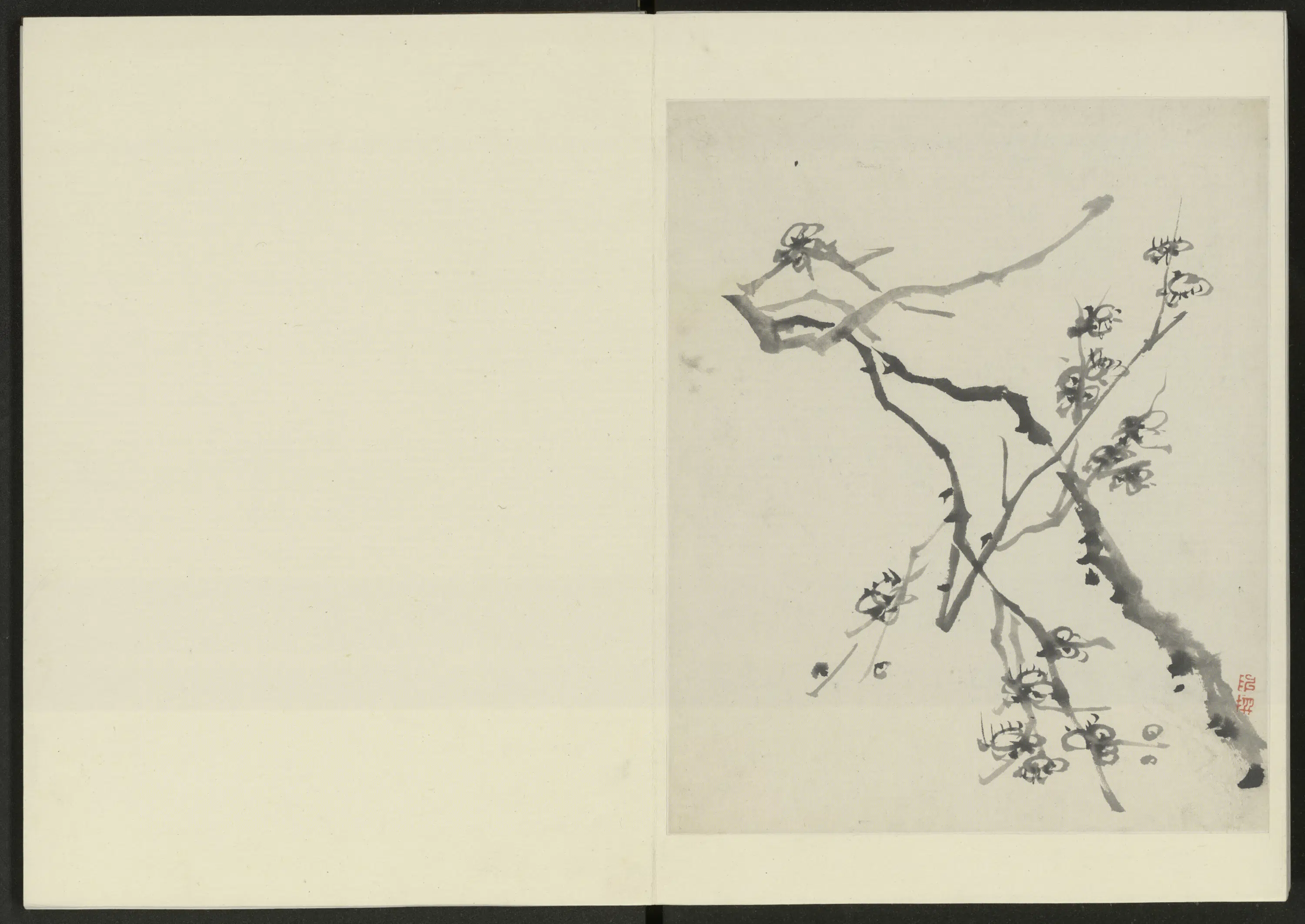 清代【陈撰】《花卉册（12开）》 第3张