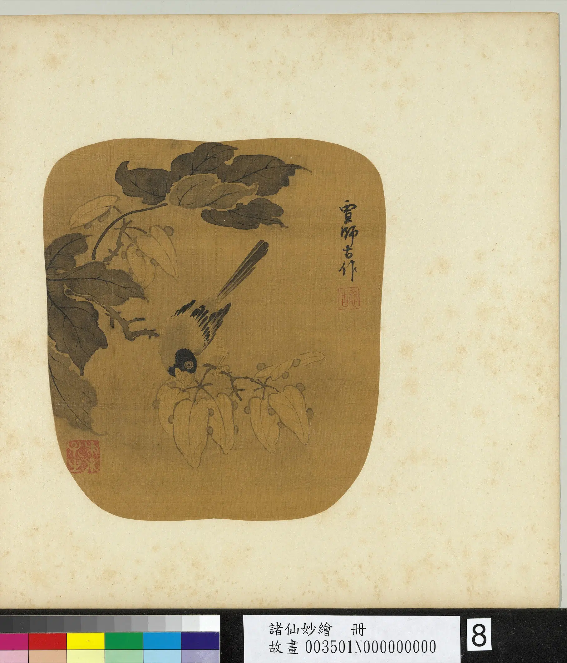 南宋【贾师古】《诸仙妙绘册-画爪畦雀》 第1张