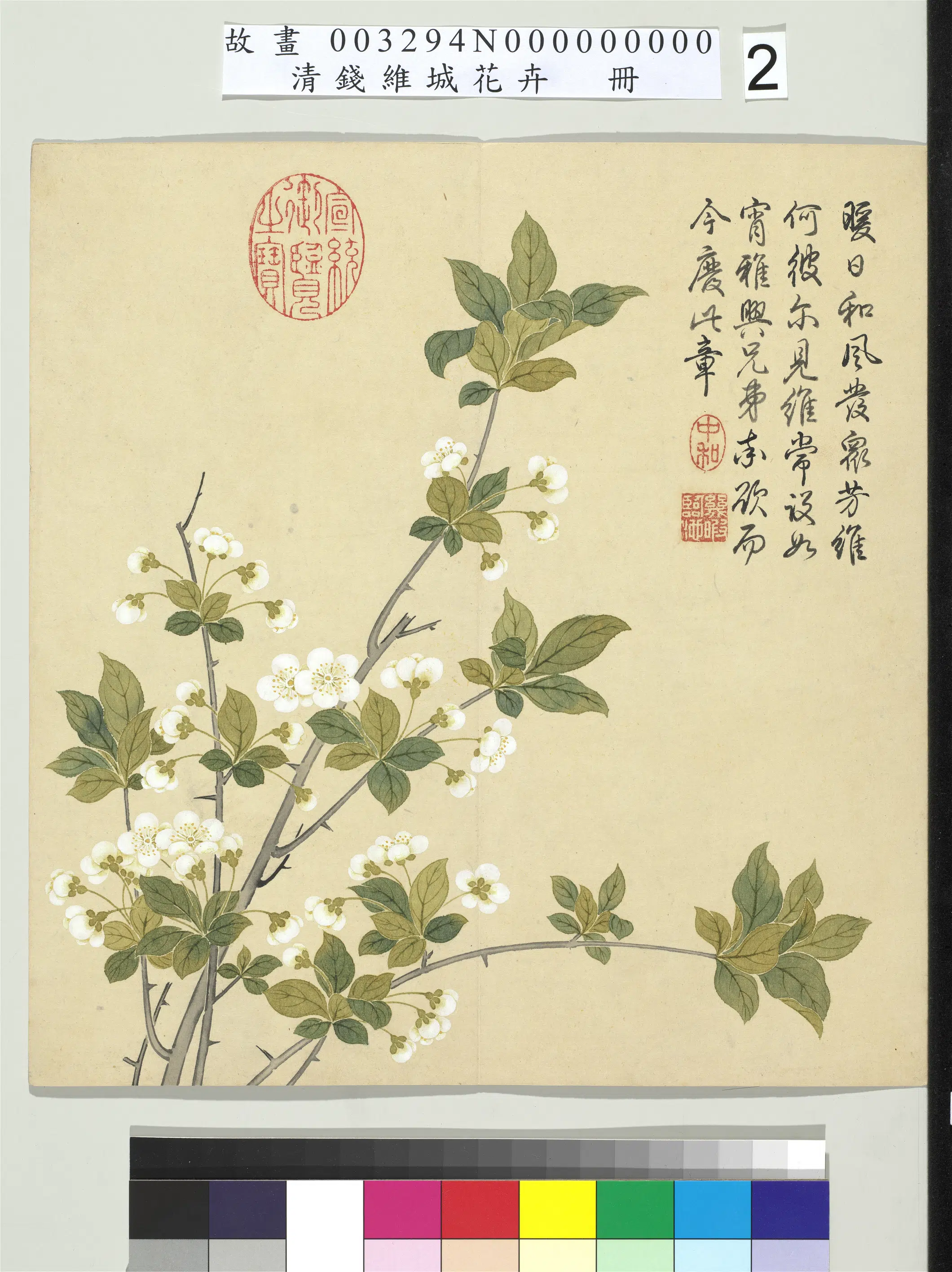 清代【钱维城】《画花卉册》 第5张 清代【钱维城】《画花卉册》 第5张
