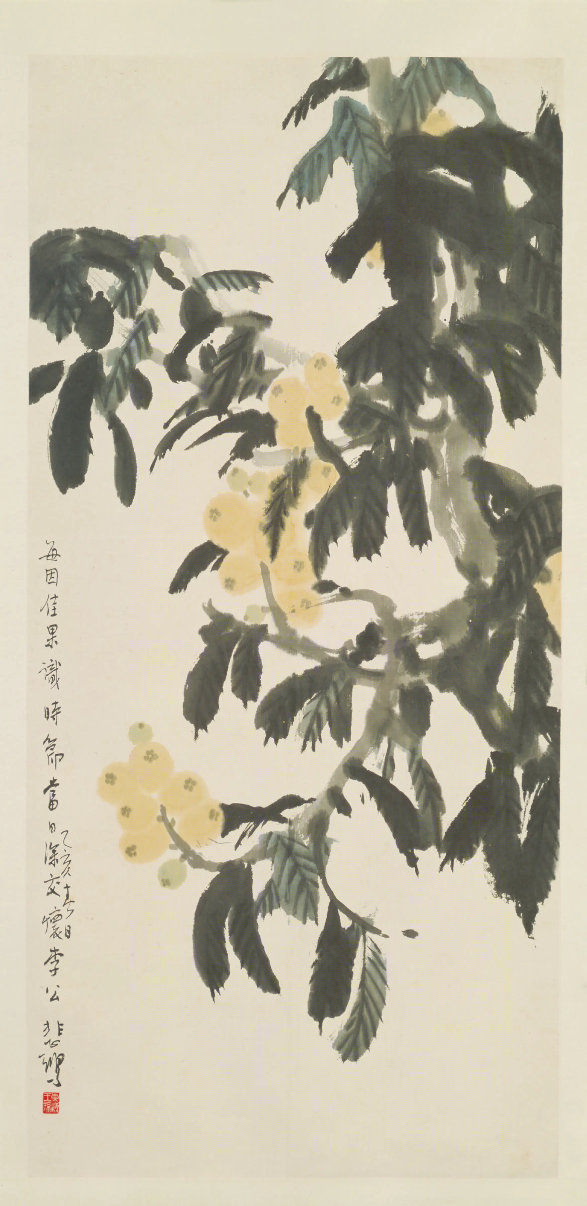近现代【徐悲鸿】《枇杷轴-1》