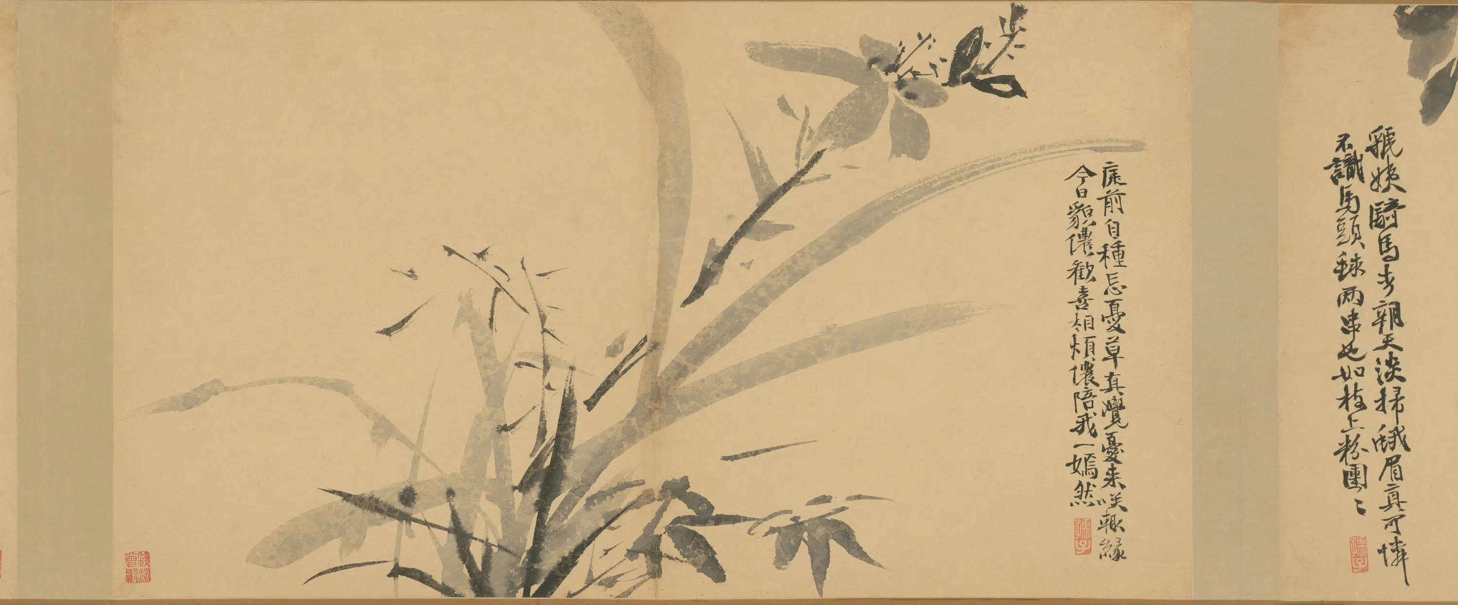 明朝【徐渭】《墨花卷》 第23张