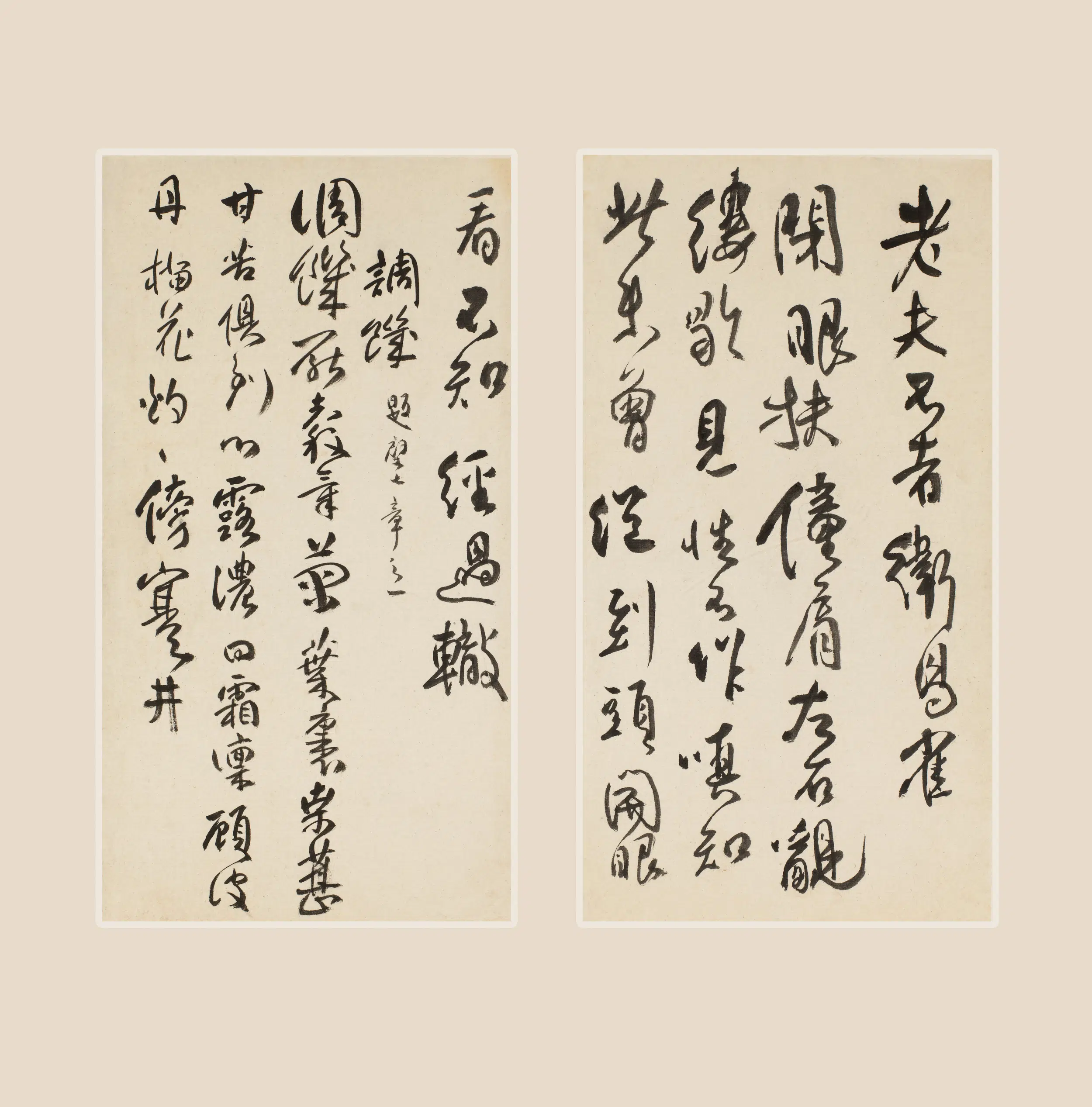 清代【傅山】《行书诗册》