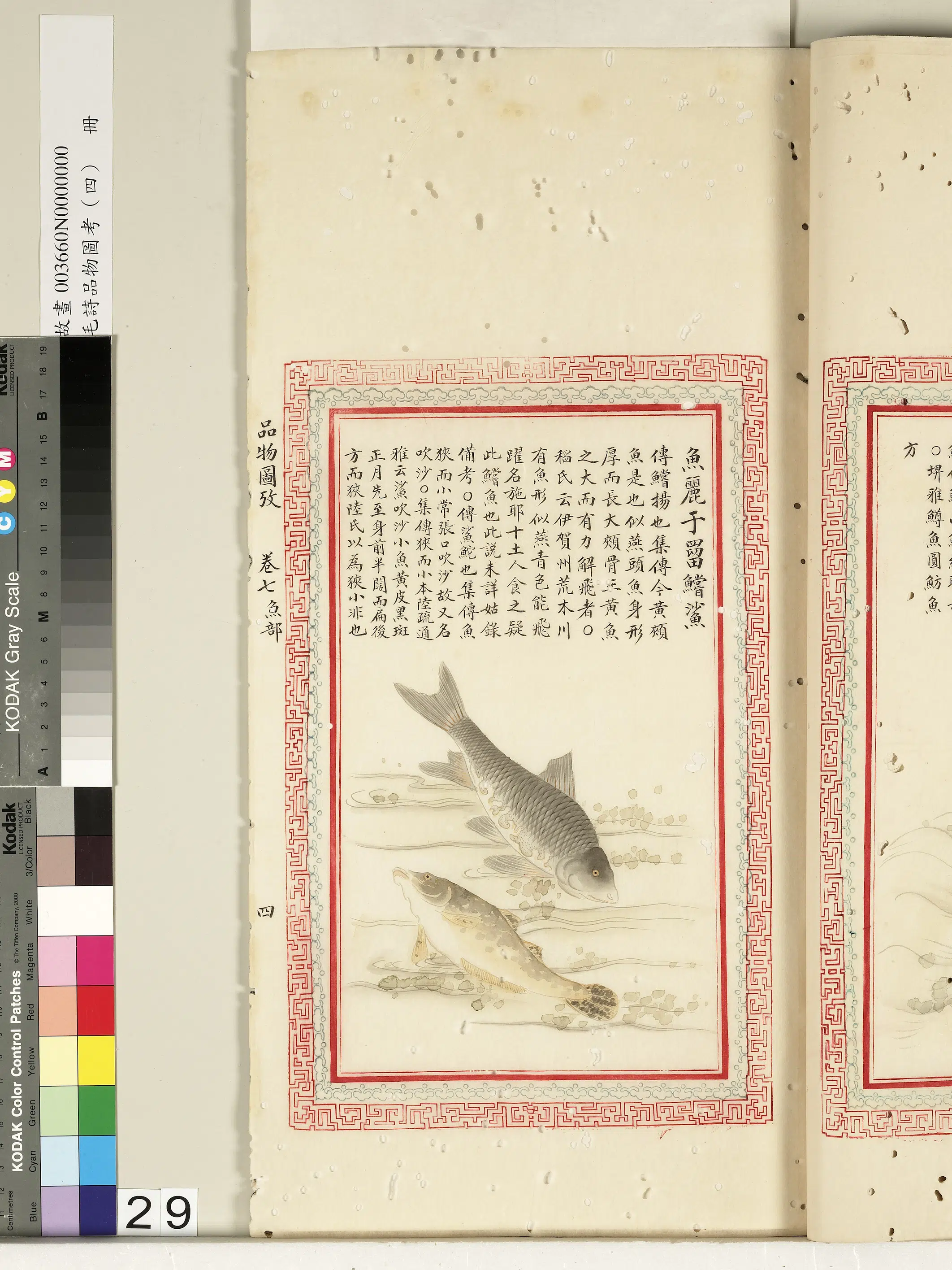 清代《毛诗品物图考(四)册-2》 第30张 清代《毛诗品物图考(四)册-2》 第30张