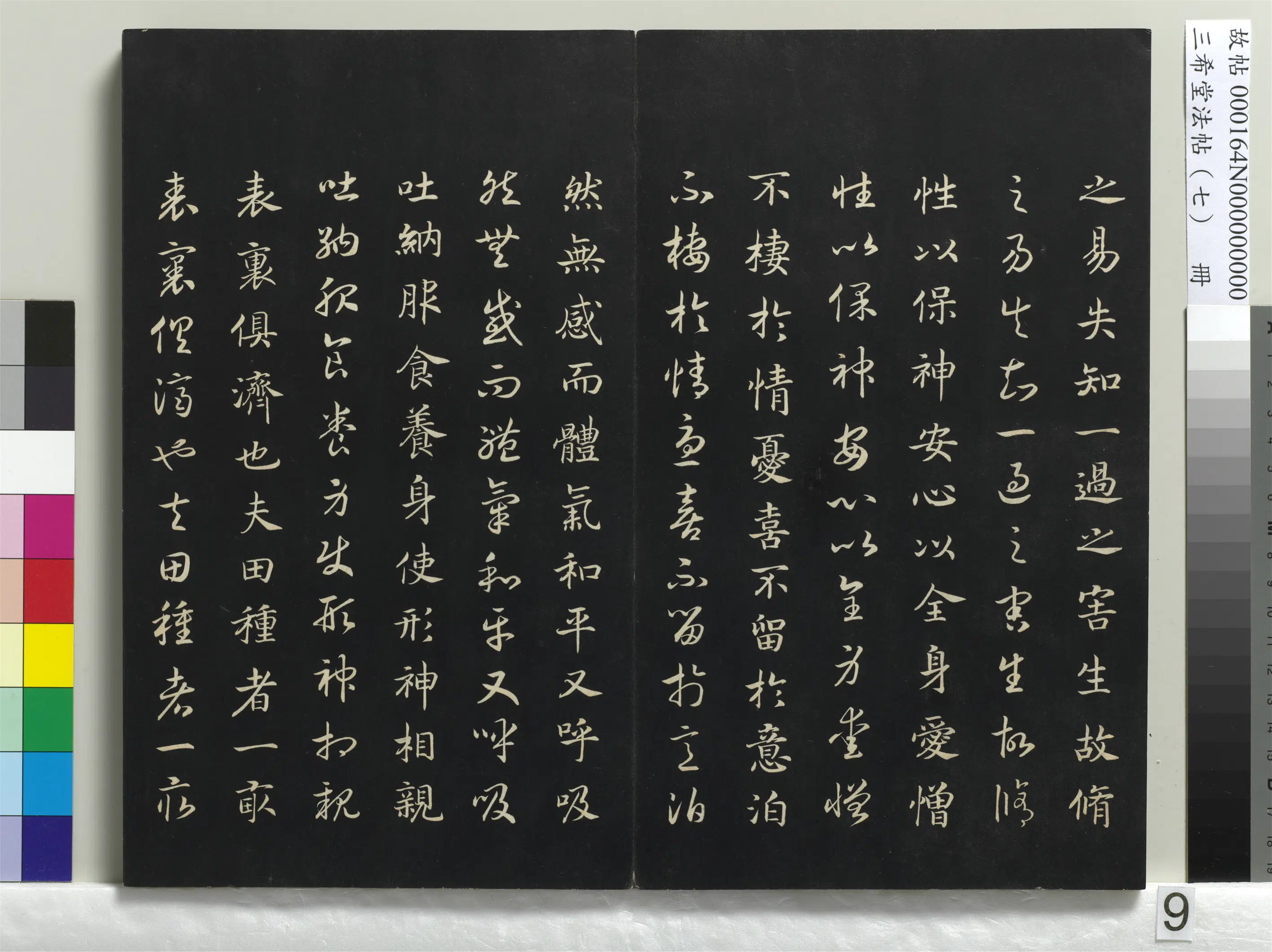 南宋【赵构-宋高宗】《三希堂法帖(七)册-宋高宗真草书嵇康养生论-1》 第22张 南宋【赵构-宋高宗】《三希堂法帖(七)册-宋高宗真草书嵇康养生论-1》 第22张