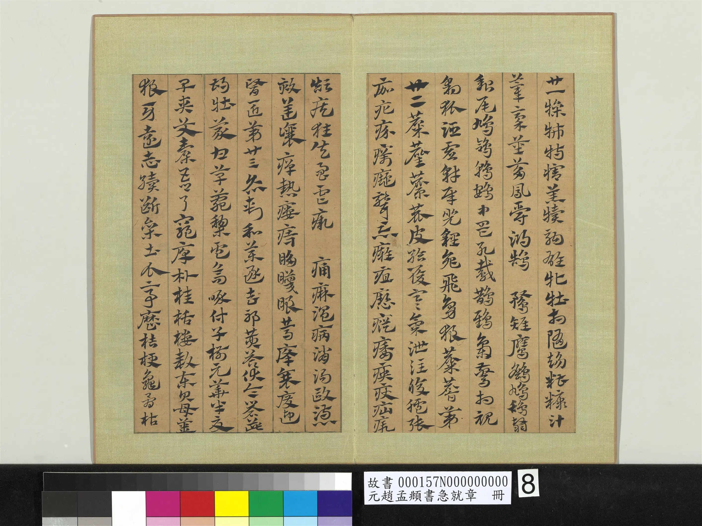 元朝【赵孟頫】《书急就章册》 第2张 元朝【赵孟頫】《书急就章册》 第2张